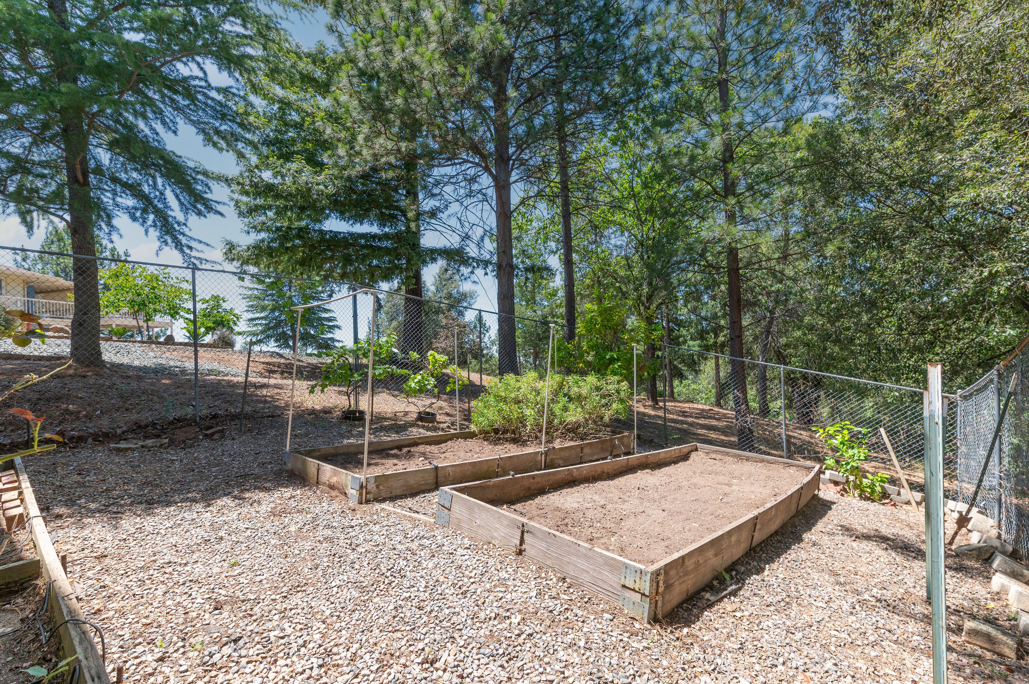  14110 Steven Lane, Pine Grove, CA 95665 - 物件實景