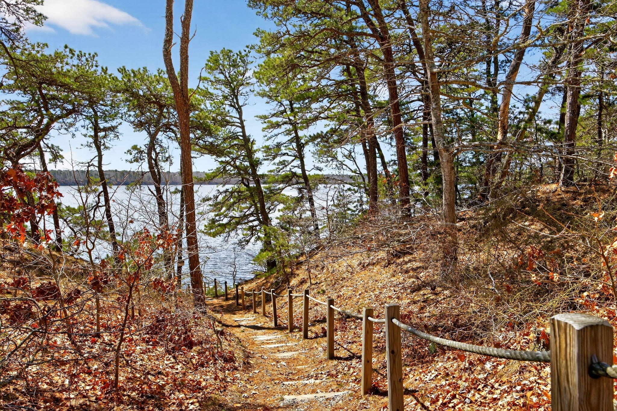  186 Canoe Pond Drive, Brewster, MA, 02631 - 物件實景