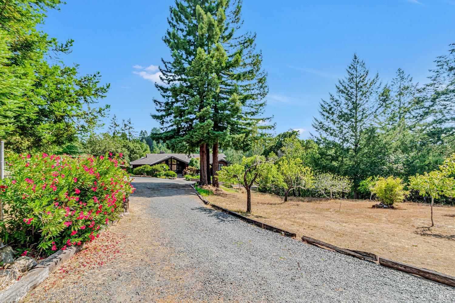 Sebastopol, California, 95472, United States, 3 Bedrooms Bedrooms, ,3 BathroomsBathrooms,Residential,For Sale,1895482