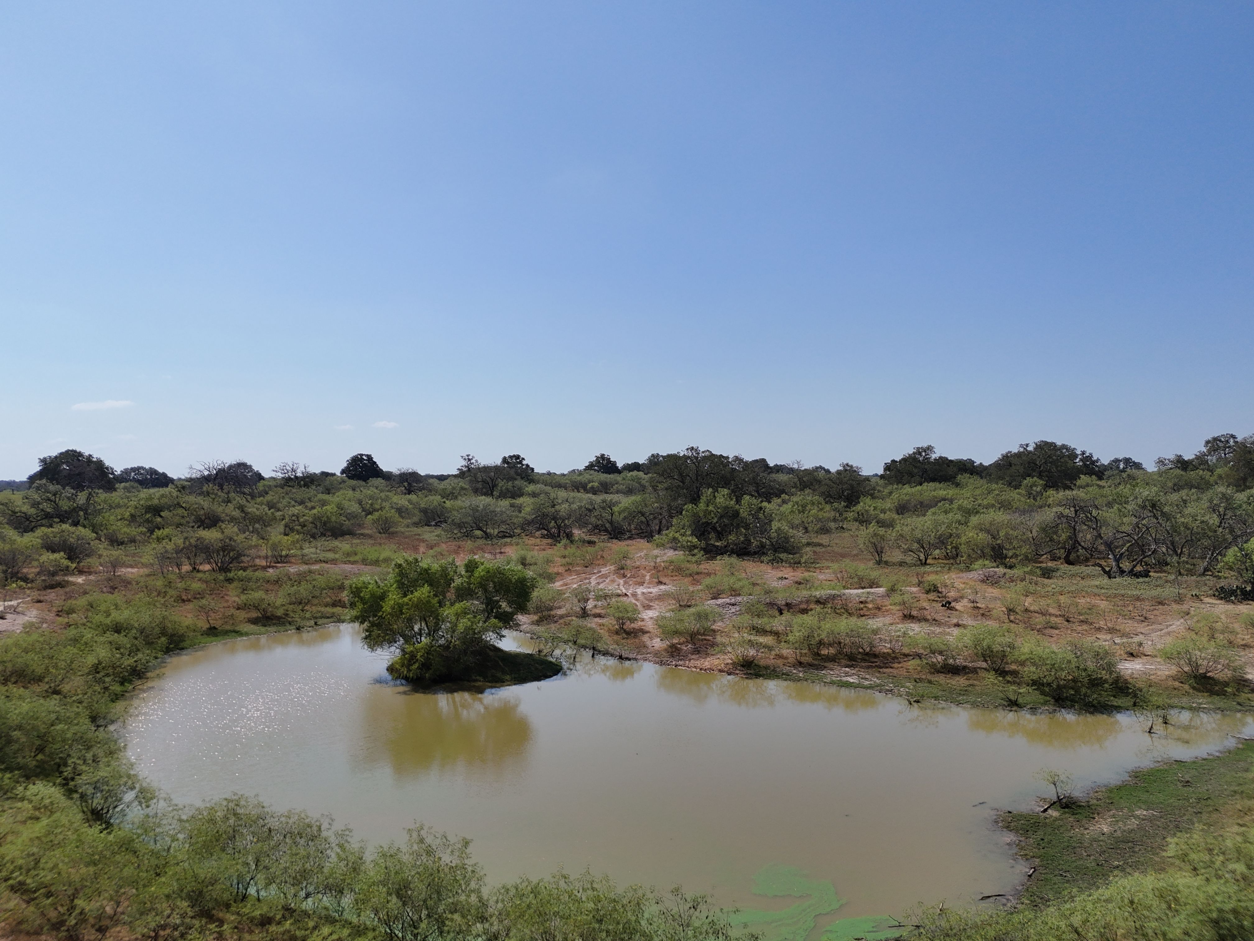  398+/- Acre Grass Pond Colony Ranch - 物件實景