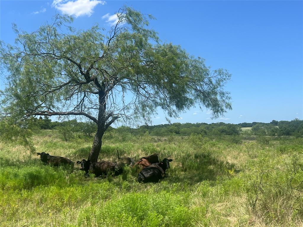 West, Texas, 76691, United States, 3 Bedrooms Bedrooms, ,2 BathroomsBathrooms,Residential,For Sale,1982487