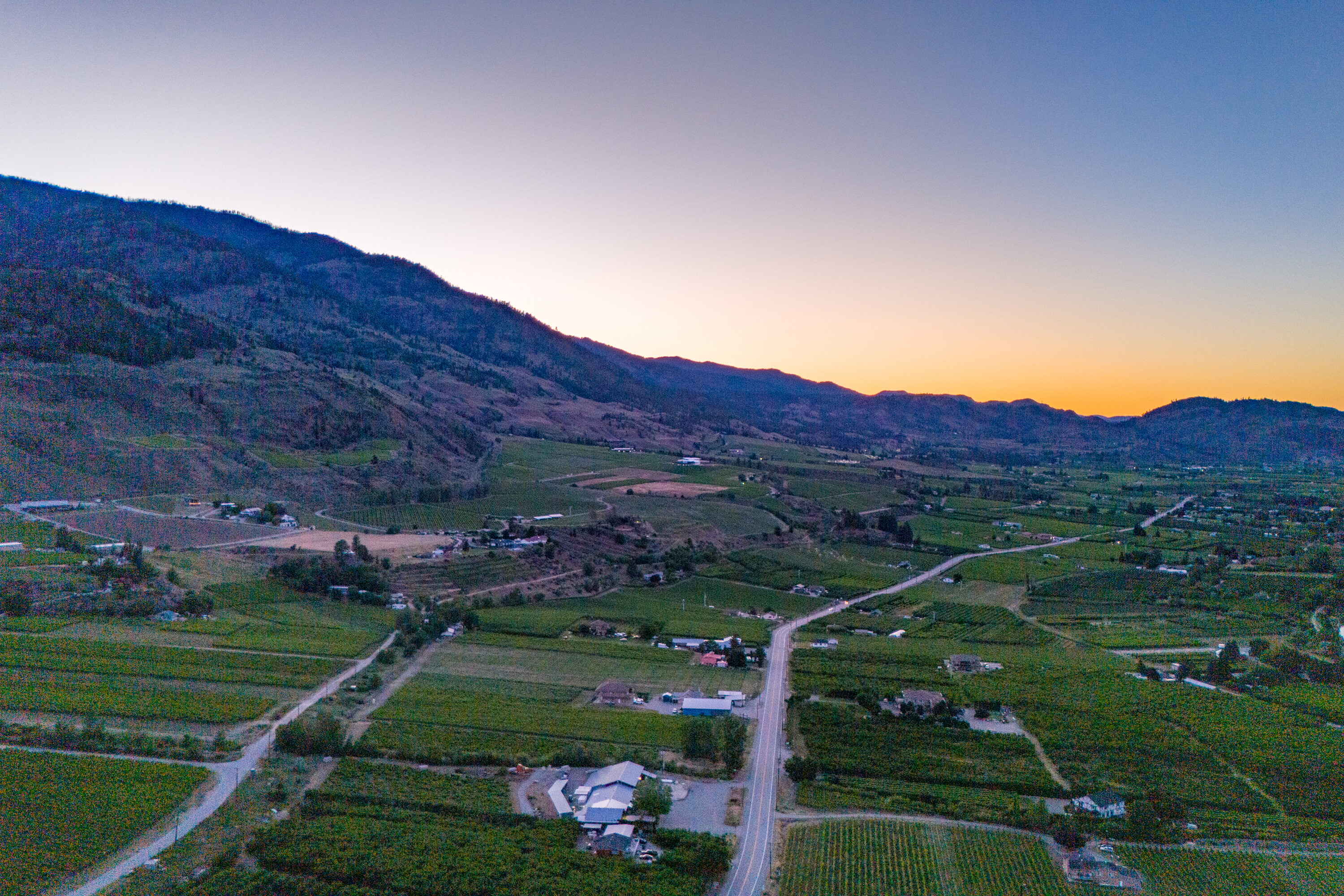  Vineyard Estate Receivership - 物件實景