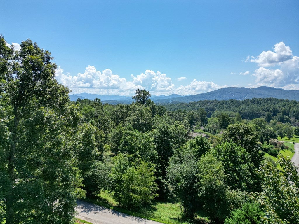 Hayesville, North Carolina, 28904, United States, 3 Bedrooms Bedrooms, ,4 BathroomsBathrooms,Residential,For Sale,1919513