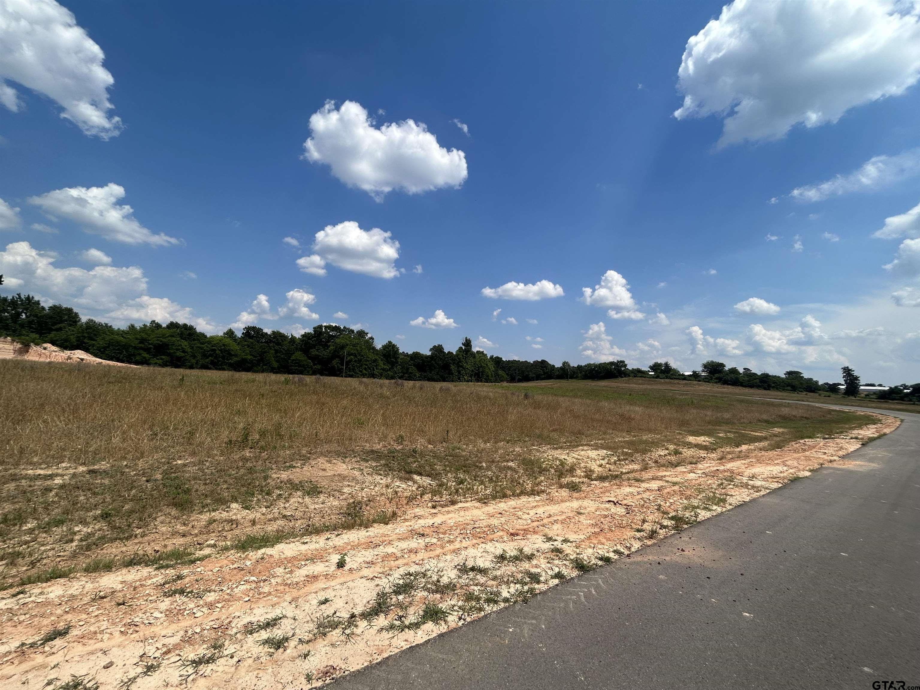 1666 CR 2332, Pittsburg, Texas, 75686, United States, ,Residential,For Sale,1666 CR 2332,1411949