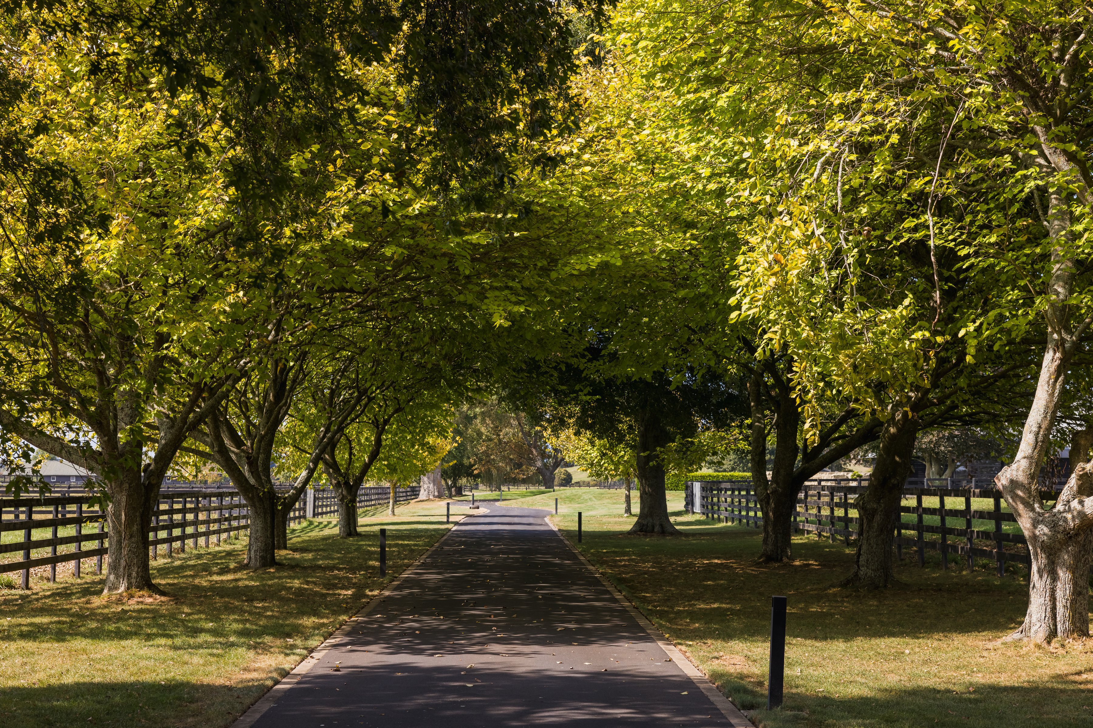  Pukemoremore Estate - 物件實景