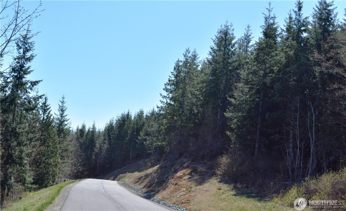 Bellingham, Washington, 98226, United States, ,Land,For Sale,1848281