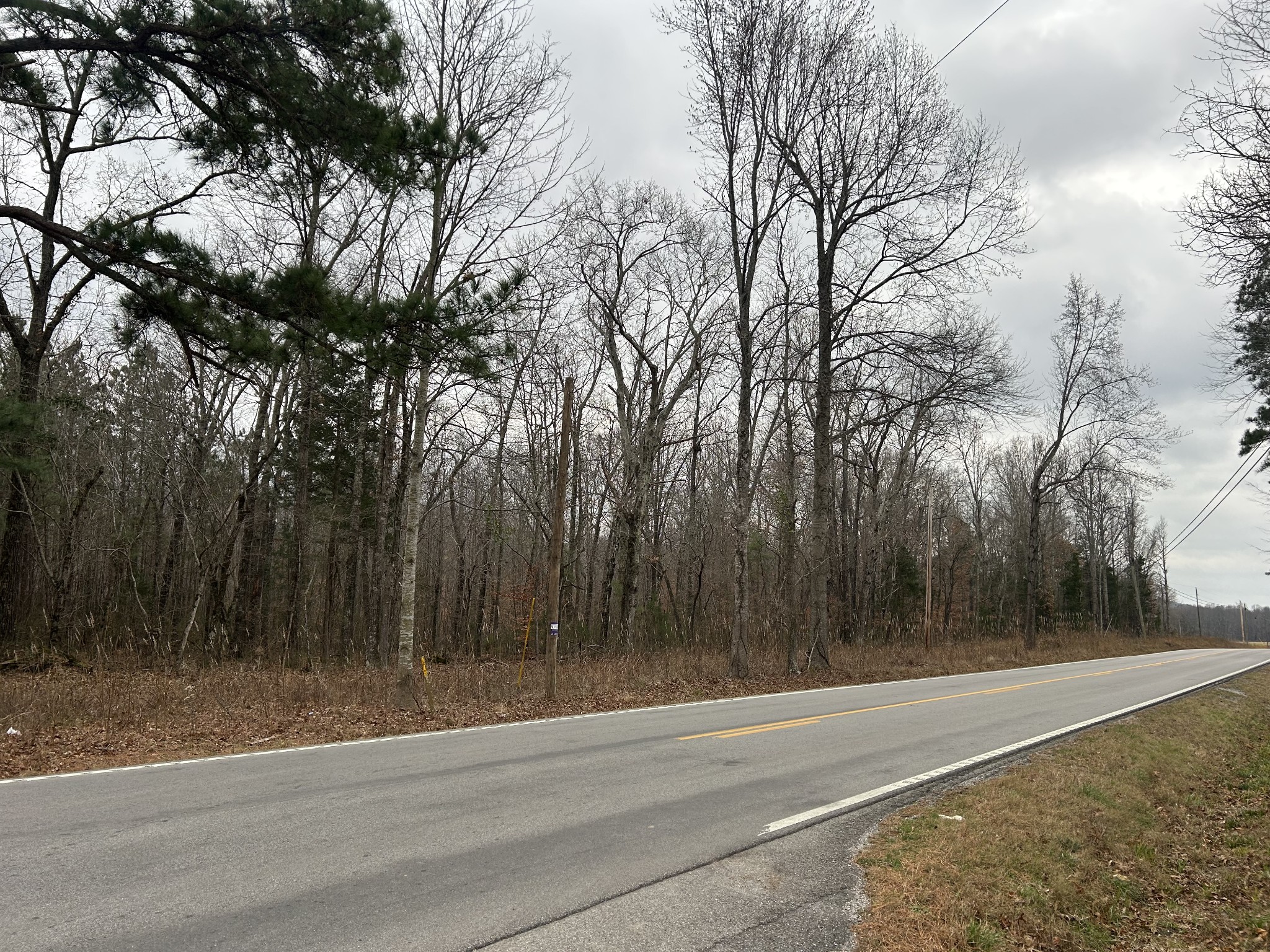 Manchester, Tennessee, 37355, United States, ,Land,For Sale,2006047