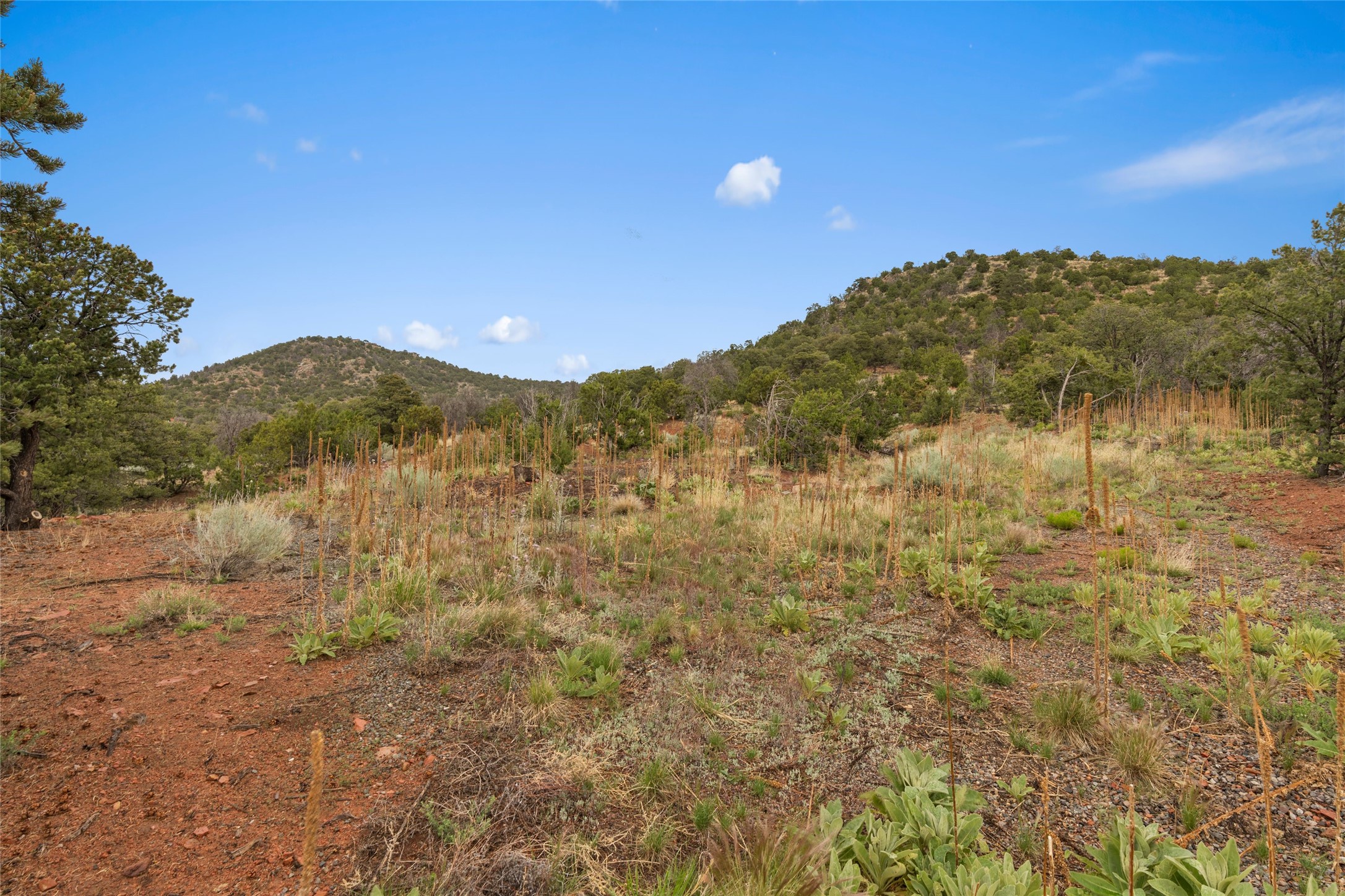  16 S Cloudstone Dr. - 物件實景