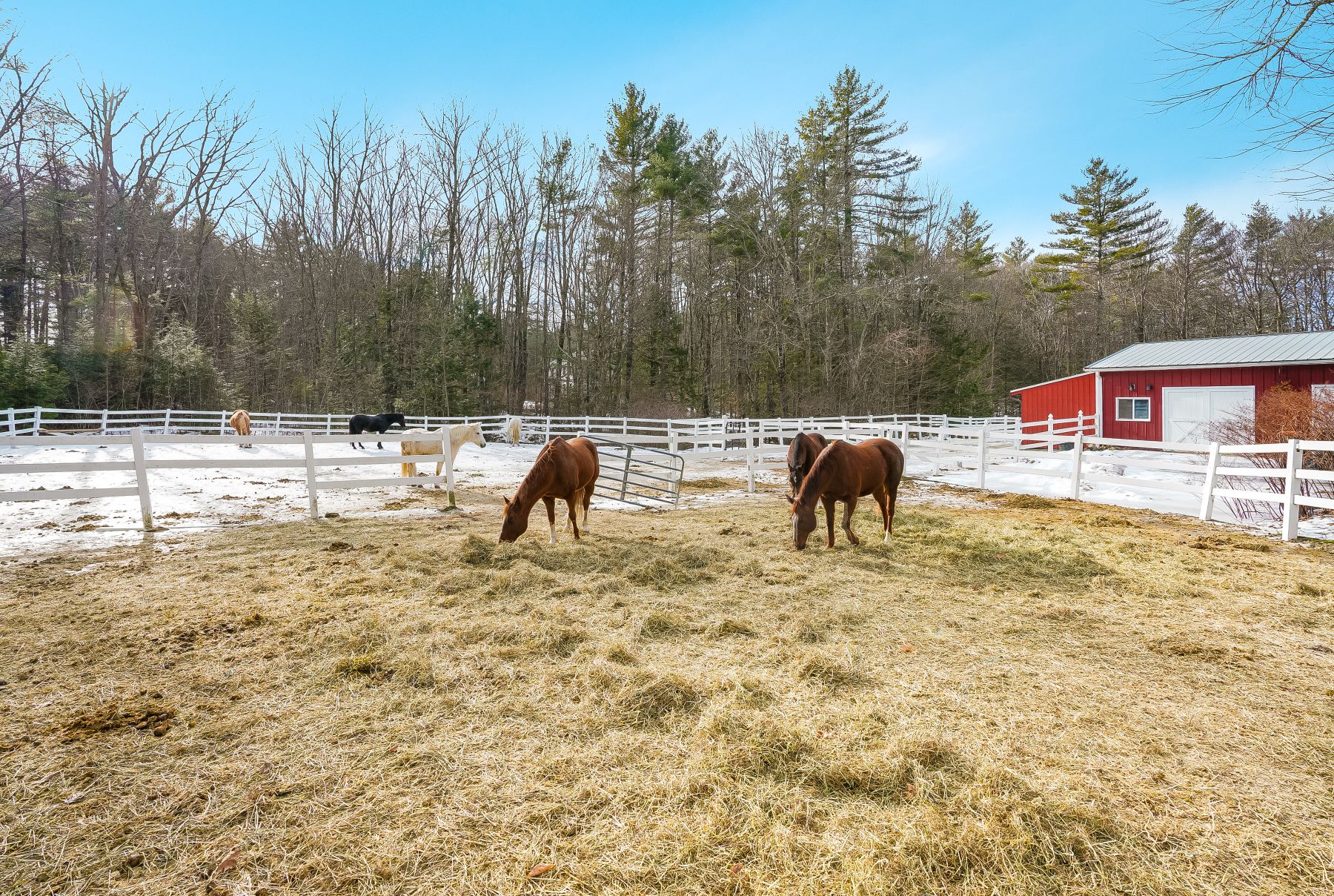  417 Candia Road - 物件實景