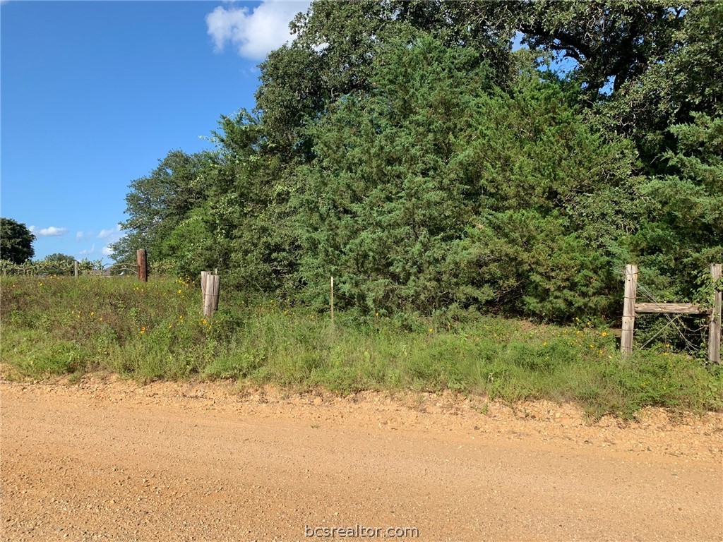 5632 County Road 317, Caldwell, Texas, 77836, United States, ,Land,For Sale,5632 County Road 317,1609859