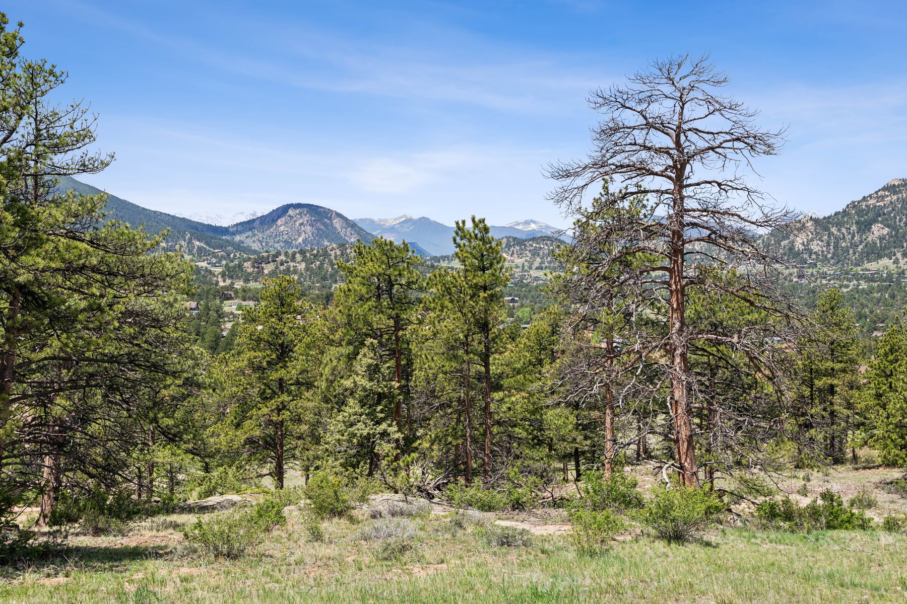  Exclusive Opportunity in Estes Park - 21.78 Acres in Uplands at Fish Creek - 物件實景