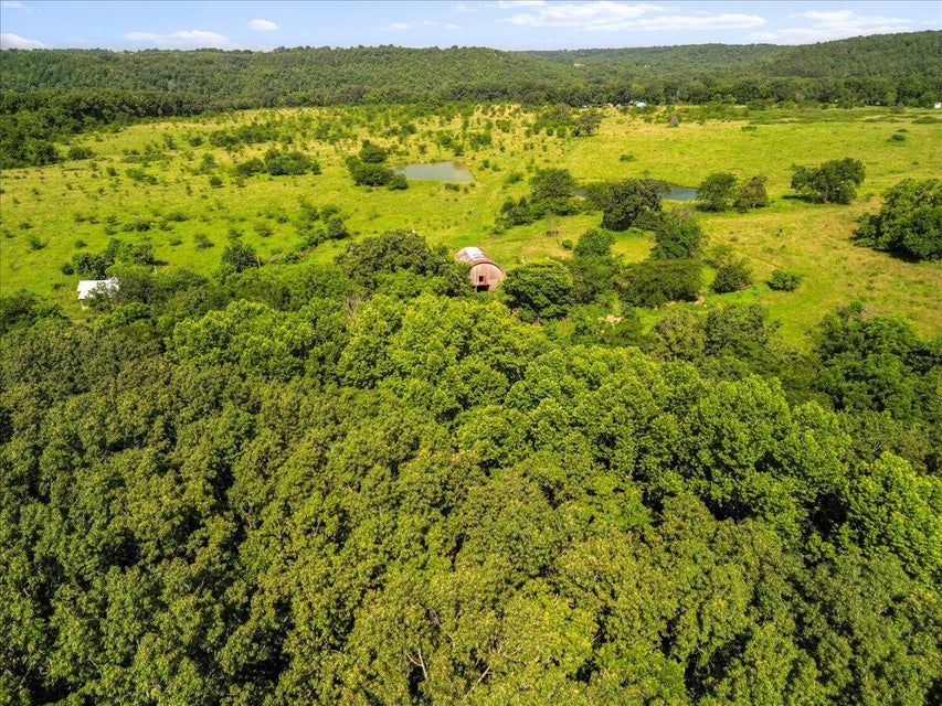 Udall, Missouri, 65766, United States, ,Land,For Sale,1984172