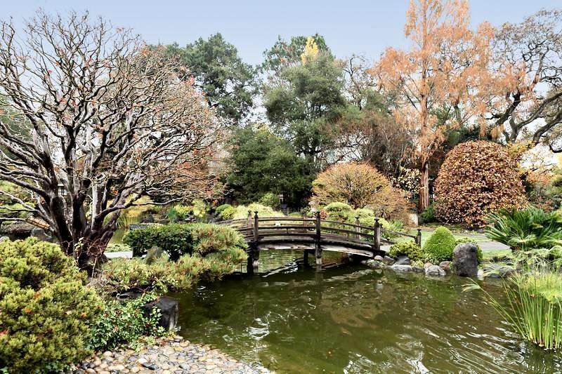 San Mateo, California, 94401, United States, 1 Bedroom Bedrooms, ,1 BathroomBathrooms,Residential,For Sale,1951170