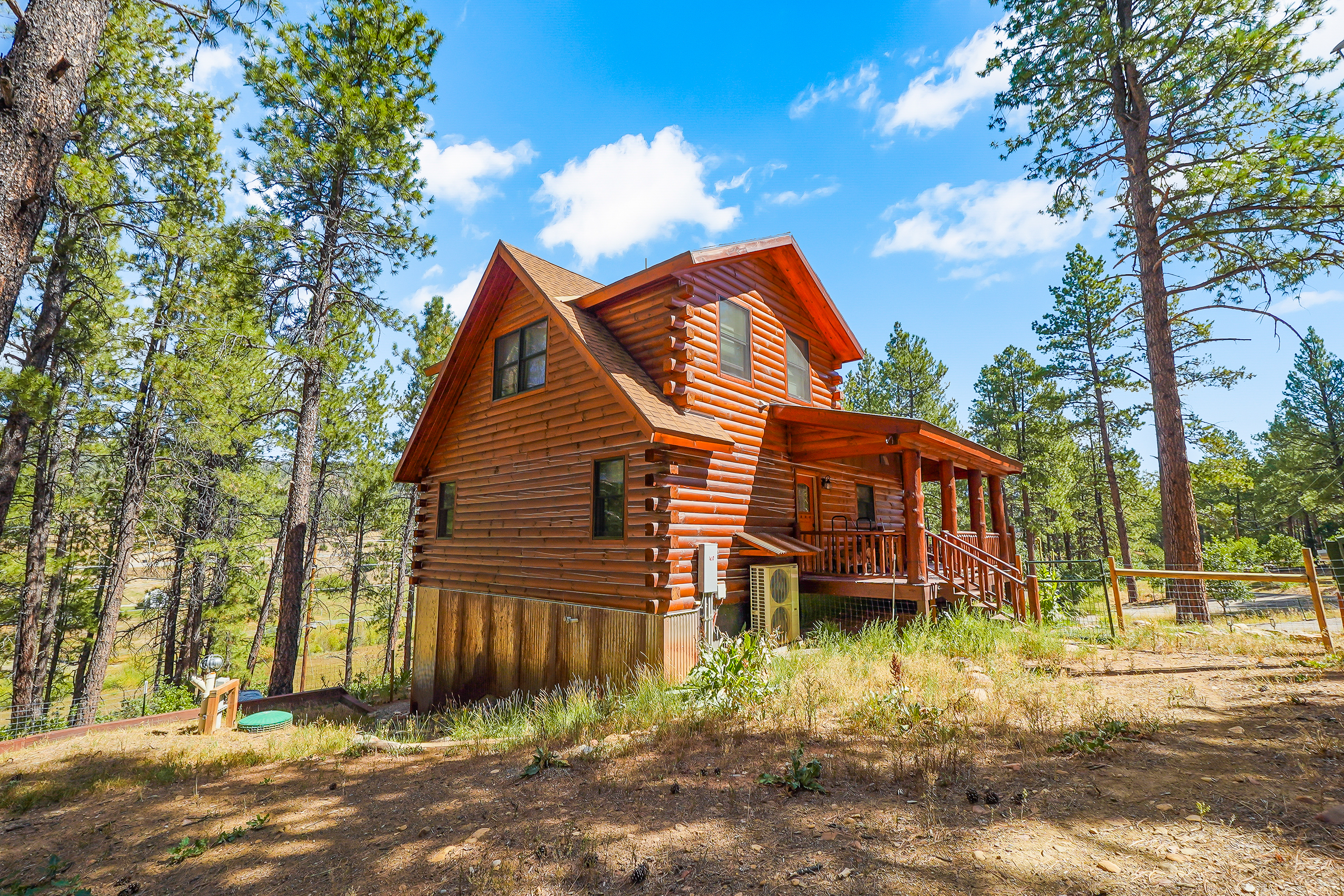 350 Wieland Drive, Bayfield, CO 81122 - 物件實景