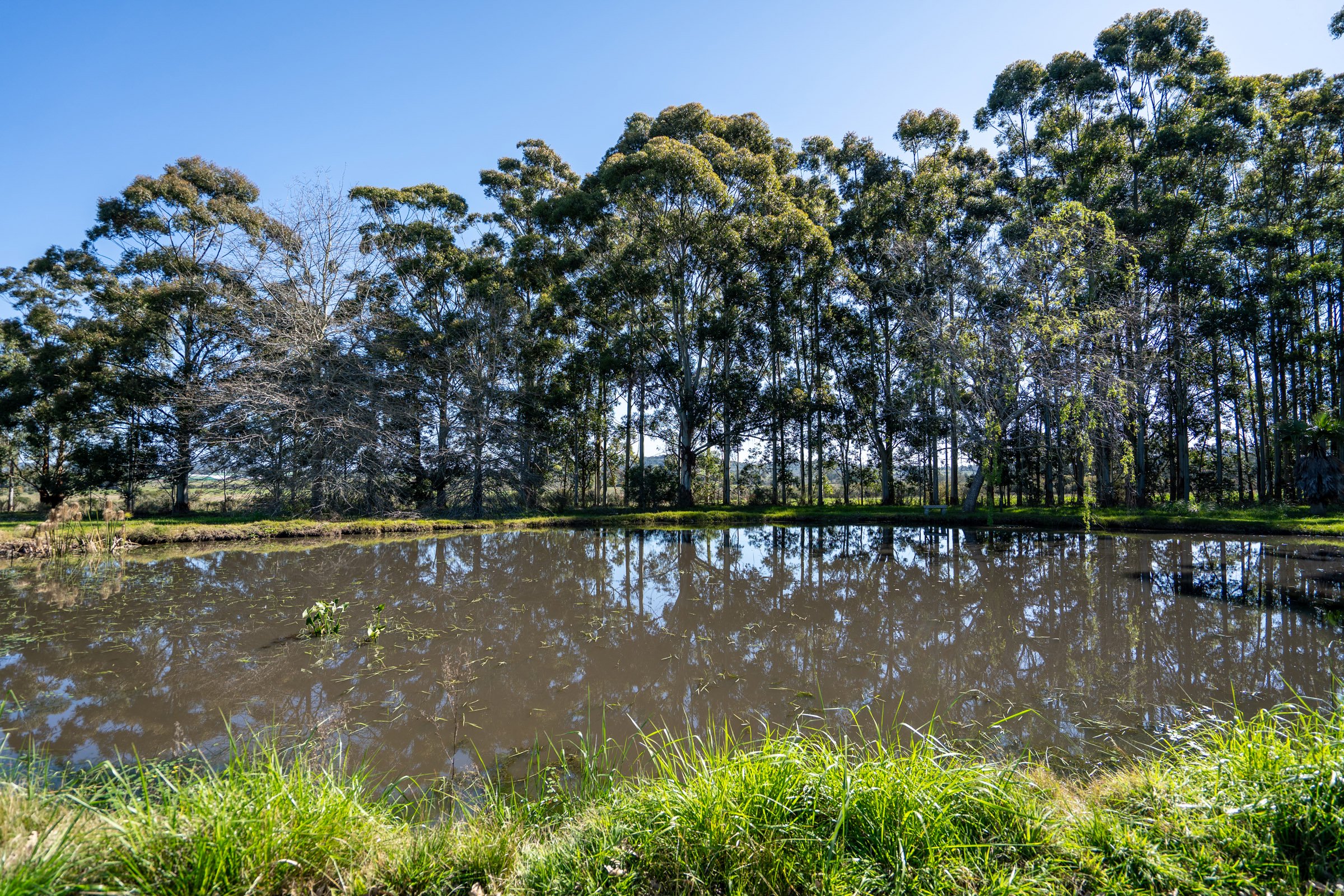  Farm in Lapataia with three buildings. - 物件實景