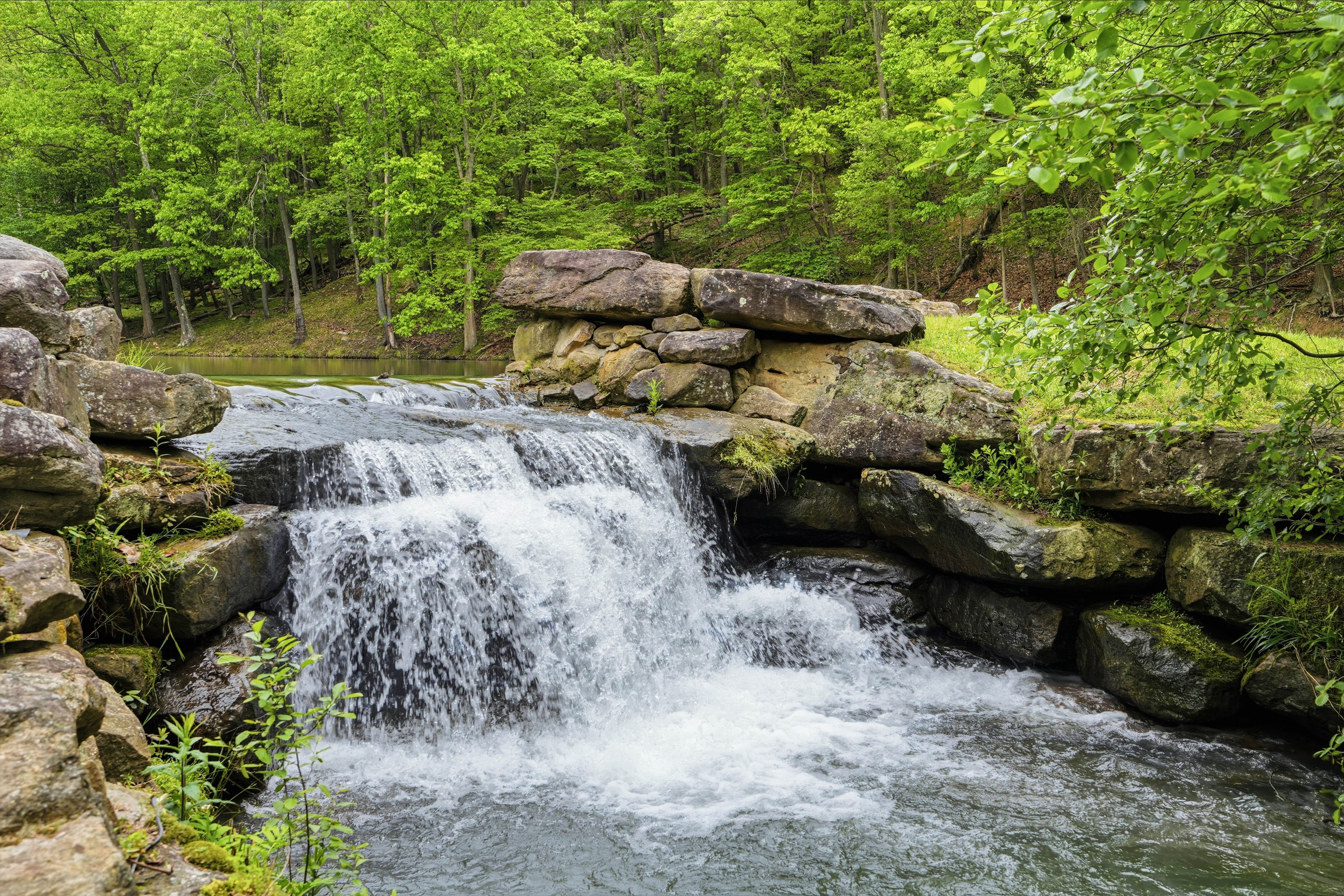  399 Cornetti Road, Fenelton, PA 16034 - 物件實景