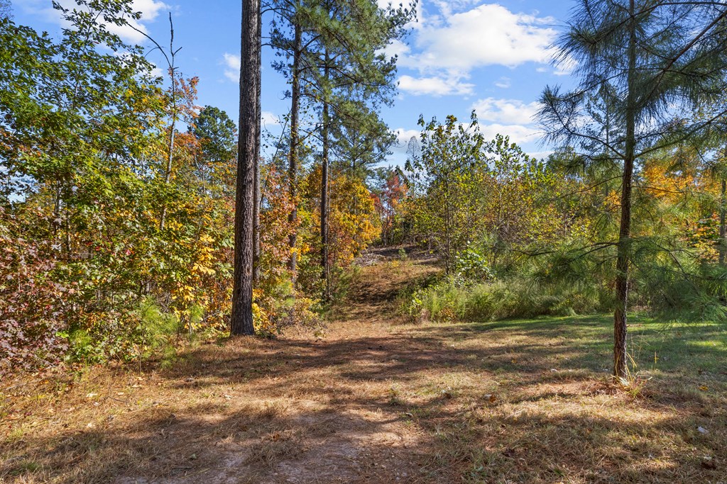 Rice, Virginia, 23966, United States, 3 Bedrooms Bedrooms, ,2 BathroomsBathrooms,Residential,For Sale,1982406