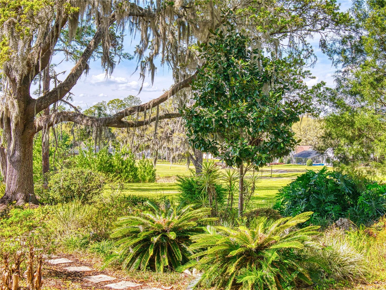OCALA, Florida, 34482, United States, 3 Bedrooms Bedrooms, ,2 BathroomsBathrooms,Residential,For Sale,1738687