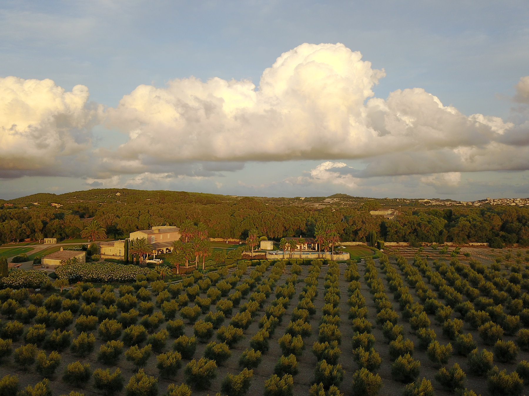  Authentic Majorcan estate with pool near Montuïri - 物件實景