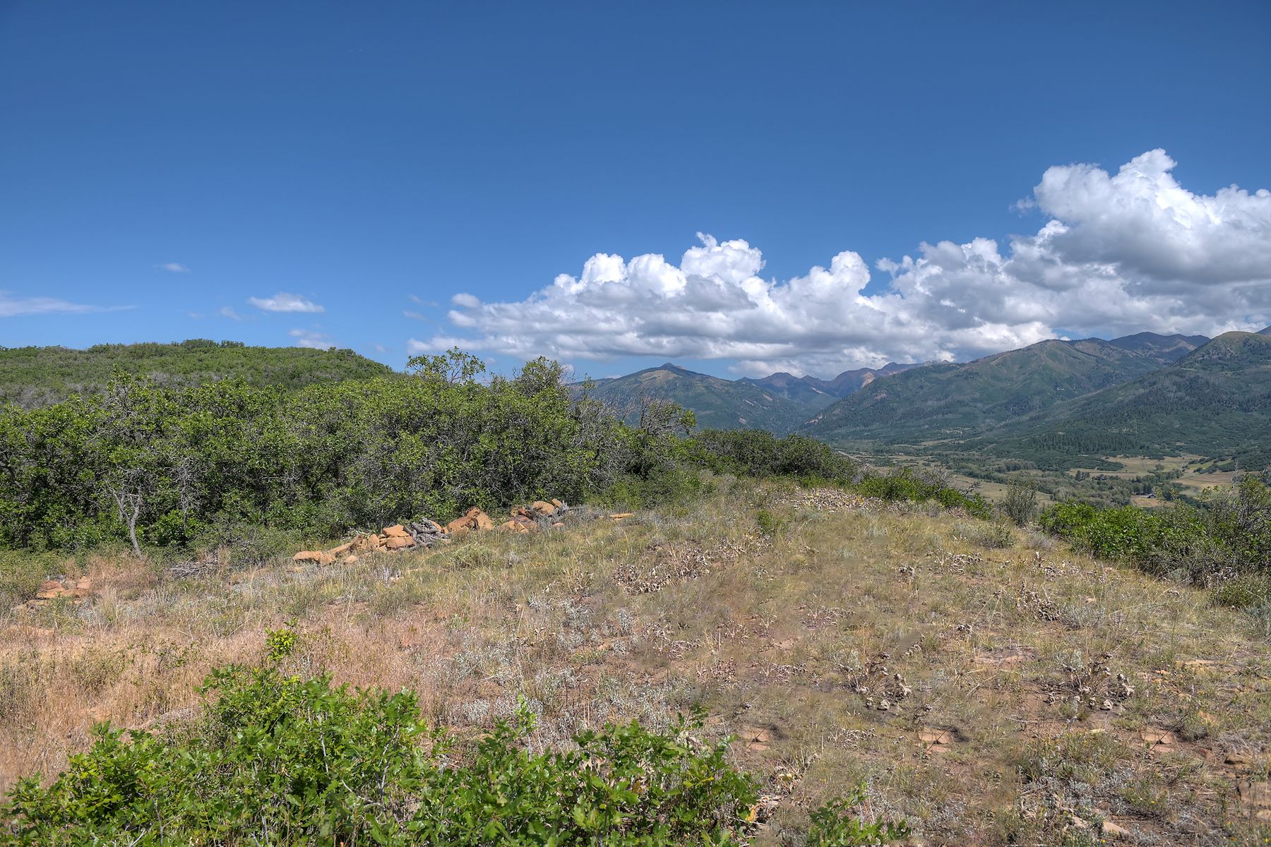  TBD Cross Creek Road, Hesperus, CO 81326 - 物件實景