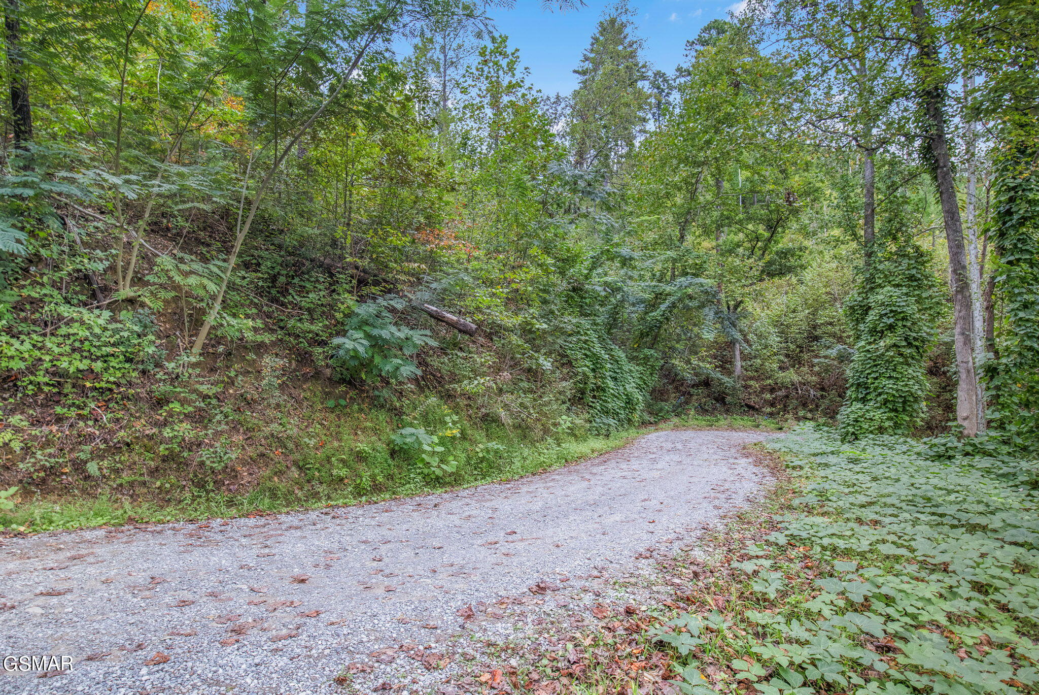 Gatlinburg, Tennessee, 37738, United States, ,Land,For Sale,1981809