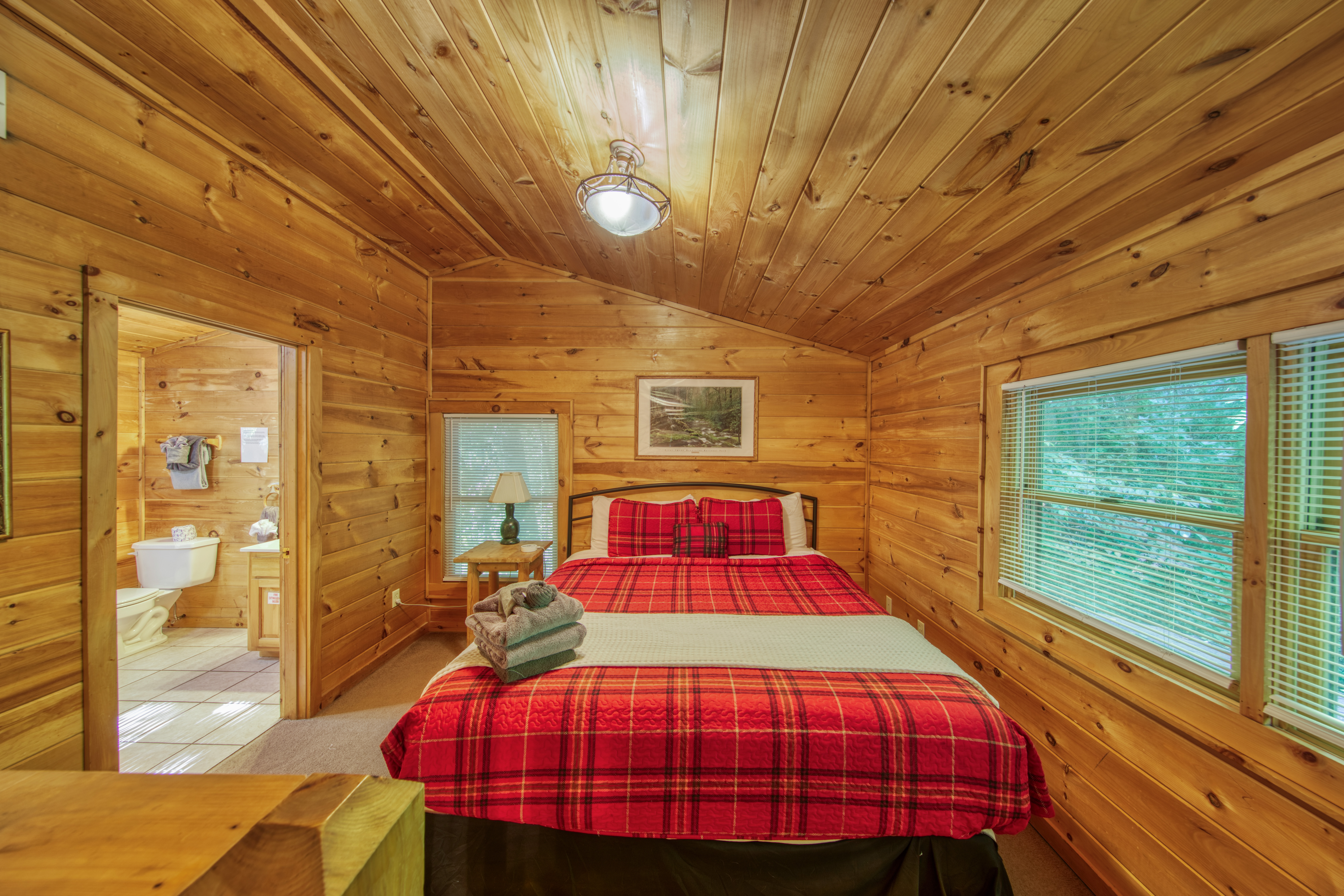  520 Ogle Drive, Pigeon Forge, TN 37863 - 物件實景