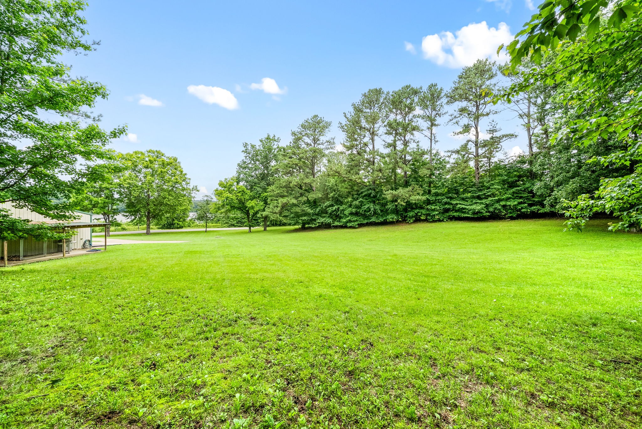  196 Wildlife Road, Dover, TN, 37058 - 物件實景