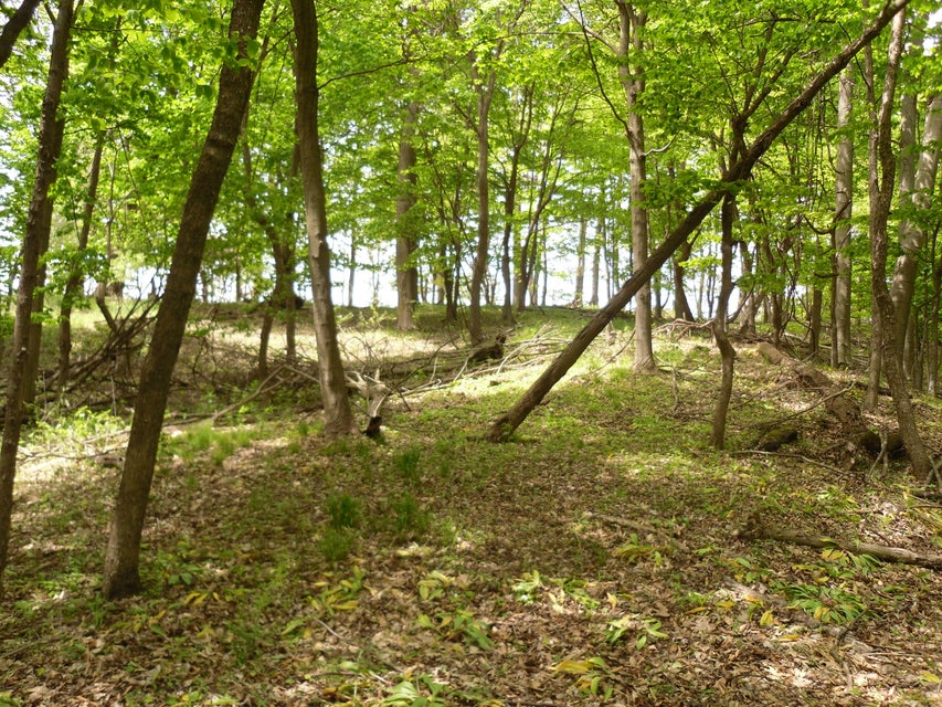 Ludington, Michigan, 49431, United States, ,Residential,For Sale,1915424