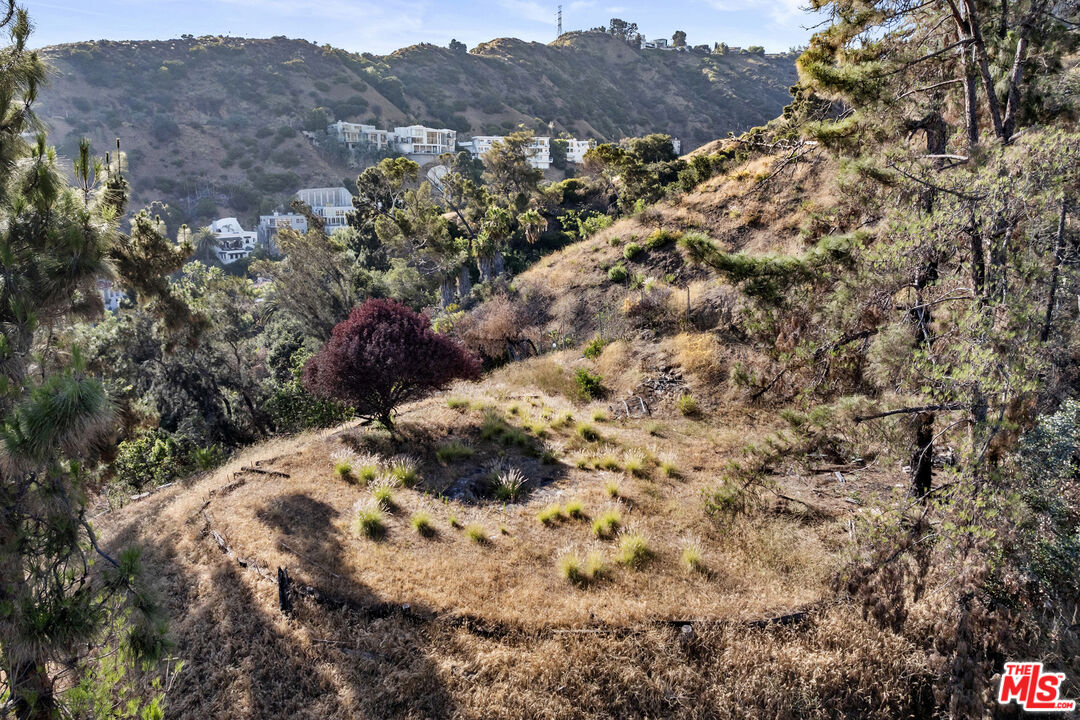 Los Angeles, California, 90046, United States, ,Land,For Sale,1891121