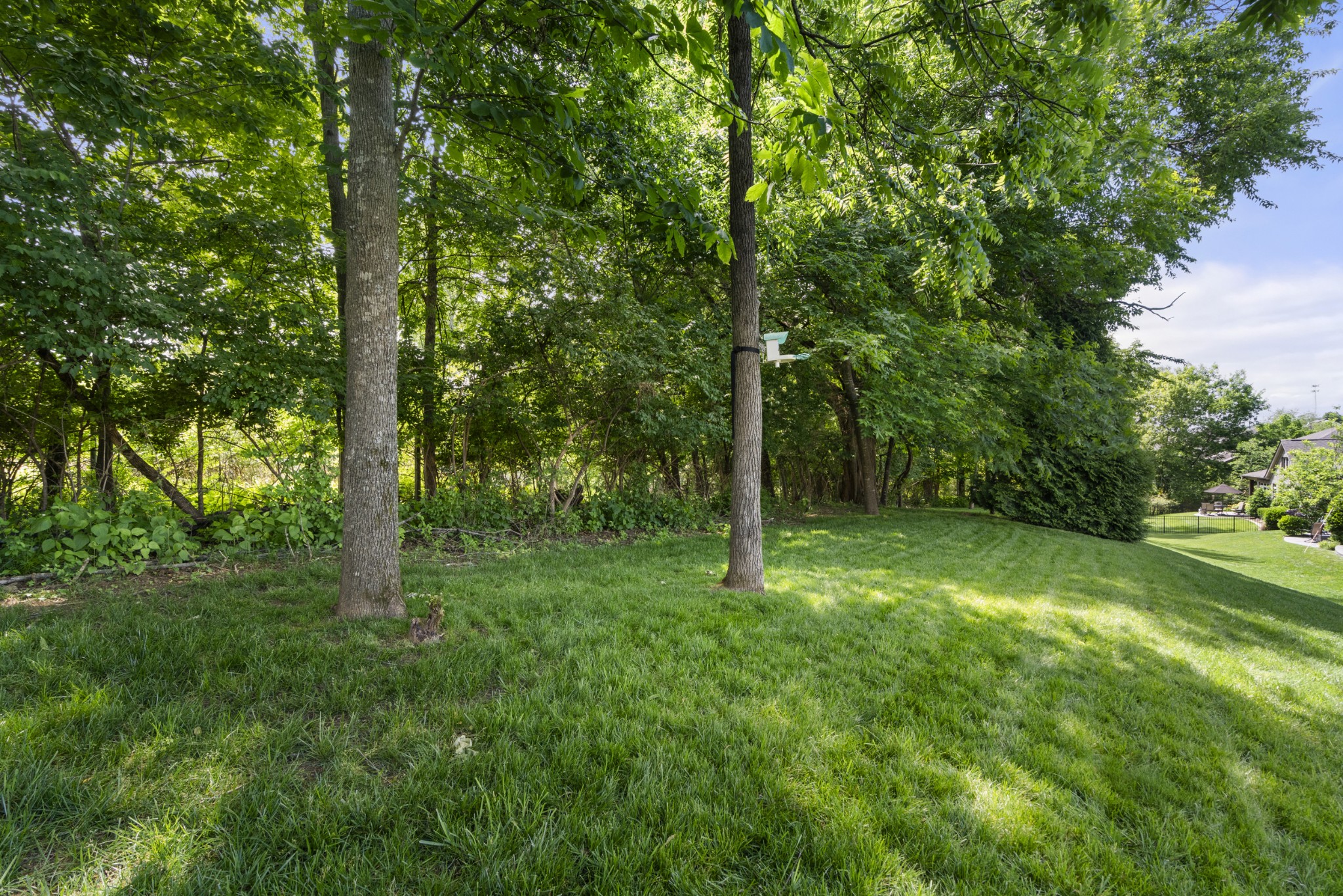  1049 Vinings Blvd, Gallatin, TN, 37066 - 物件實景