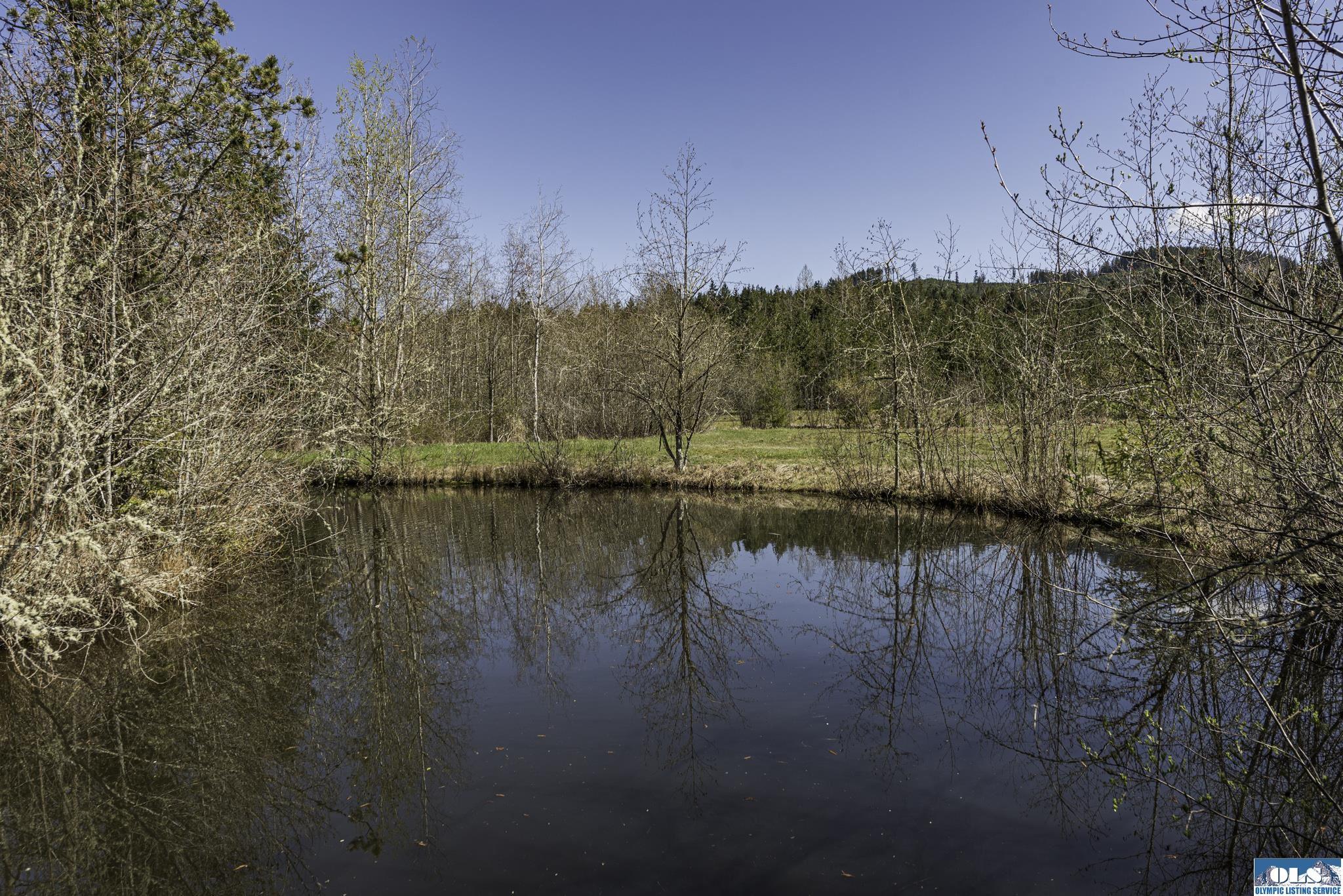 Sequim, Washington, 98382, United States, ,Land,For Sale,1787569