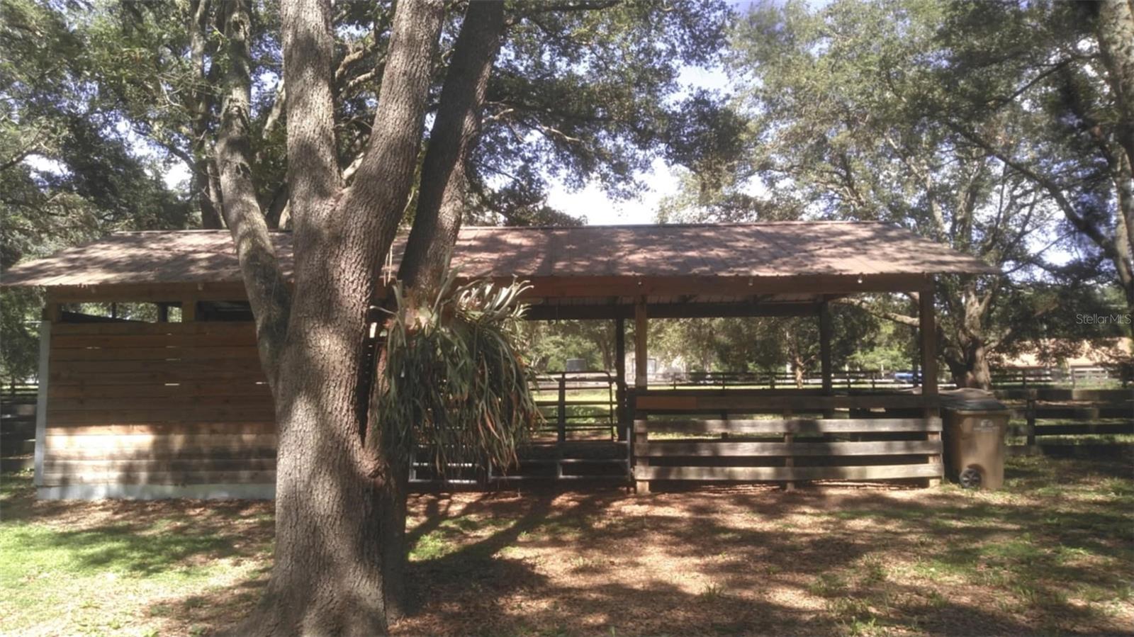 LADY LAKE, Florida, 32159, United States, 5 Bedrooms Bedrooms, ,3 BathroomsBathrooms,Residential,For Sale,1850305