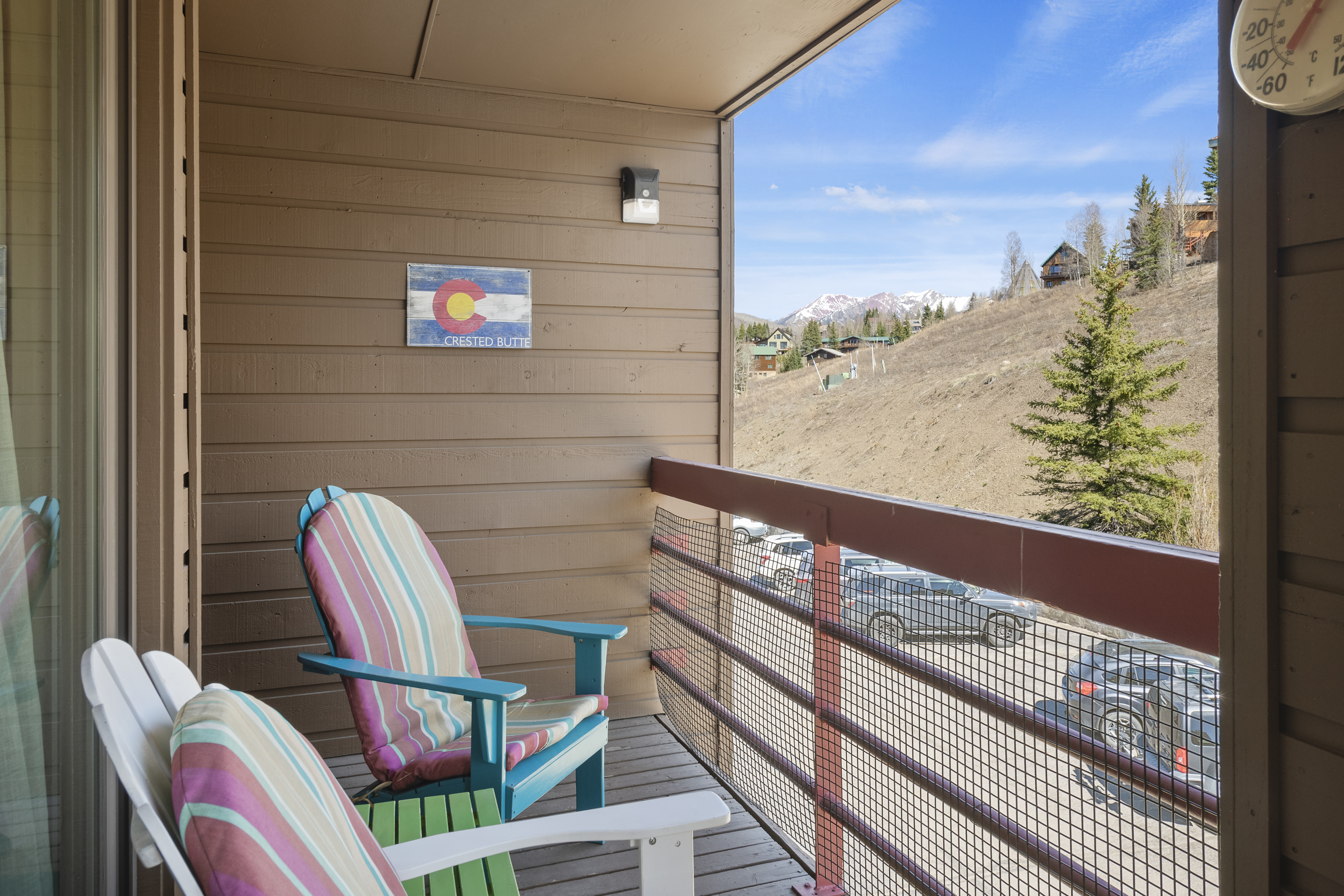  25 Emmons Road, Mt. Crested Butte, CO, 81225 - 物件實景