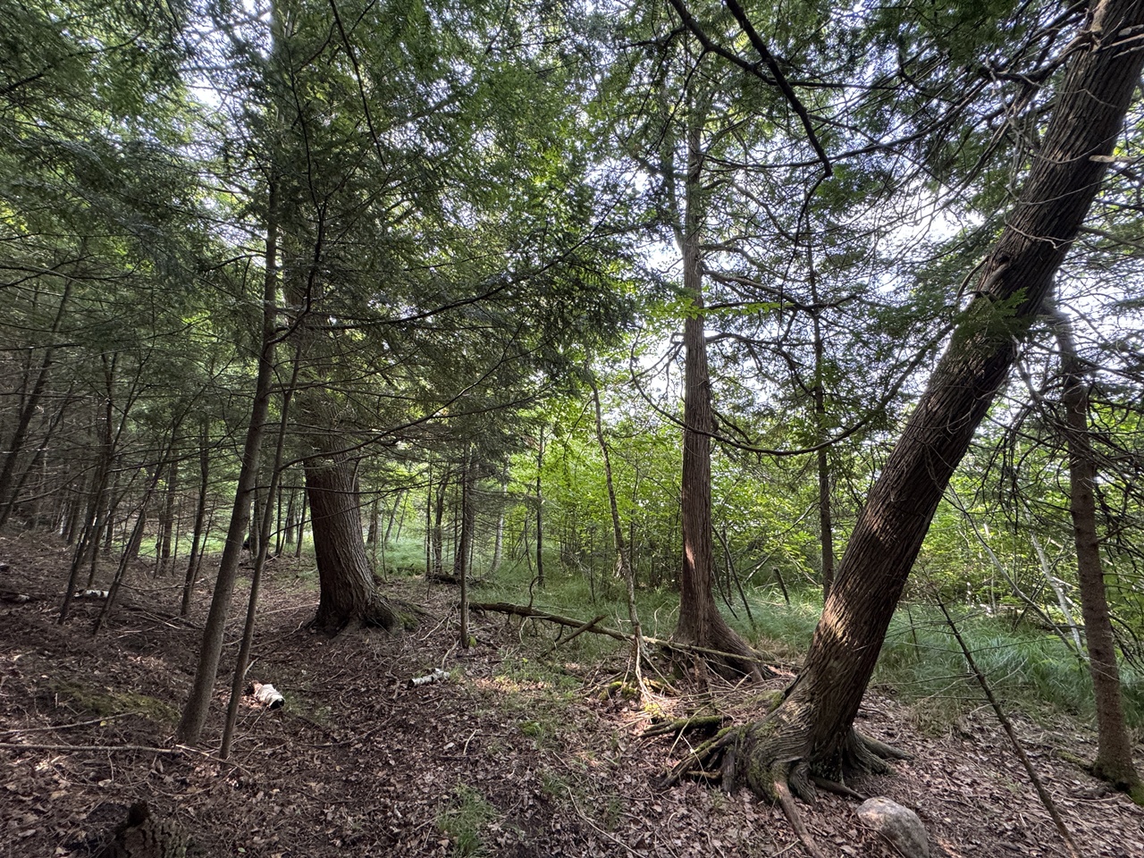 Mercer, Wisconsin, 54547, United States, 3 Bedrooms Bedrooms, ,1 BathroomBathrooms,Residential,For Sale,1974621