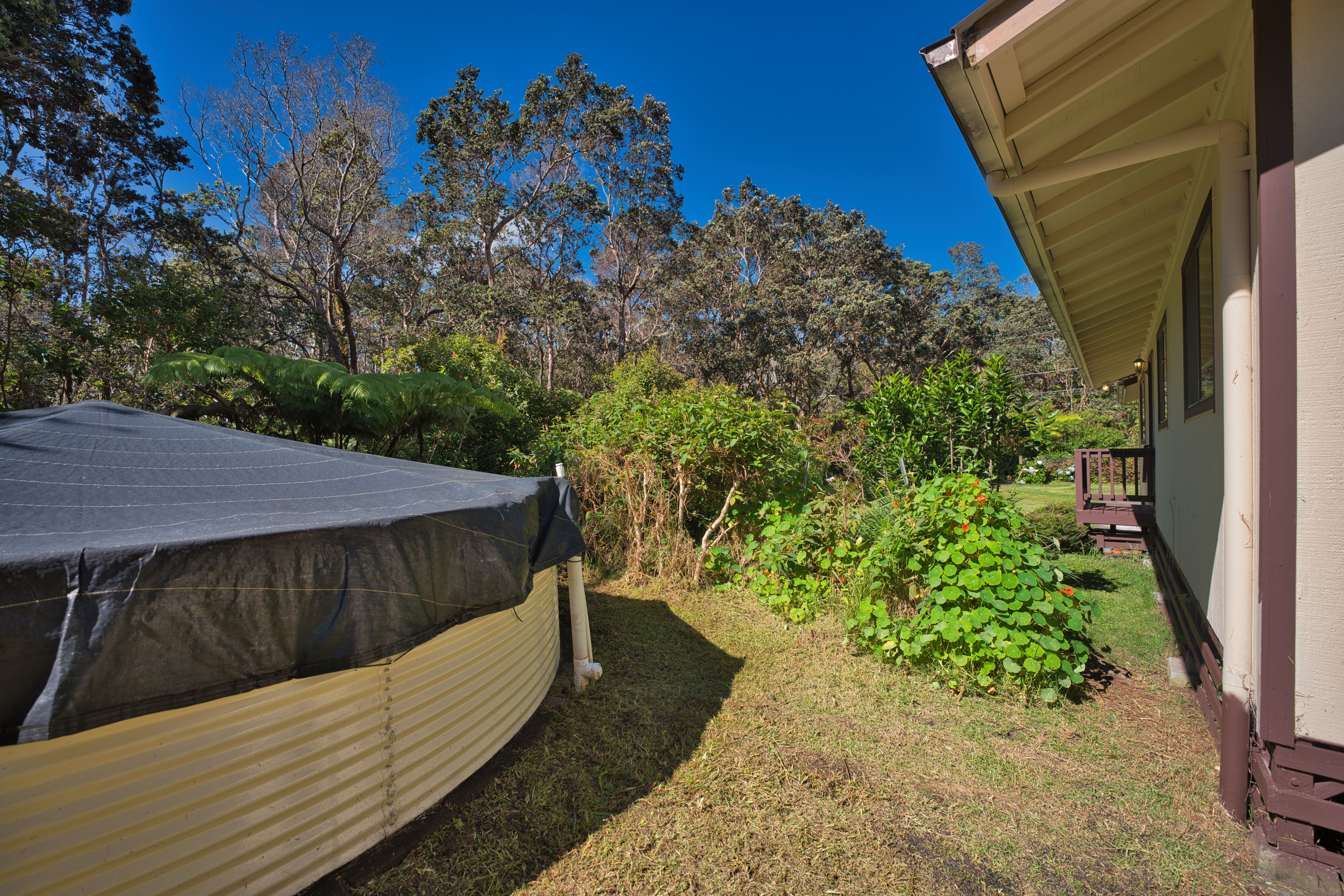  19-4159 Anuhea Circle Dr, Volcano, HI, 96785 - 物件實景