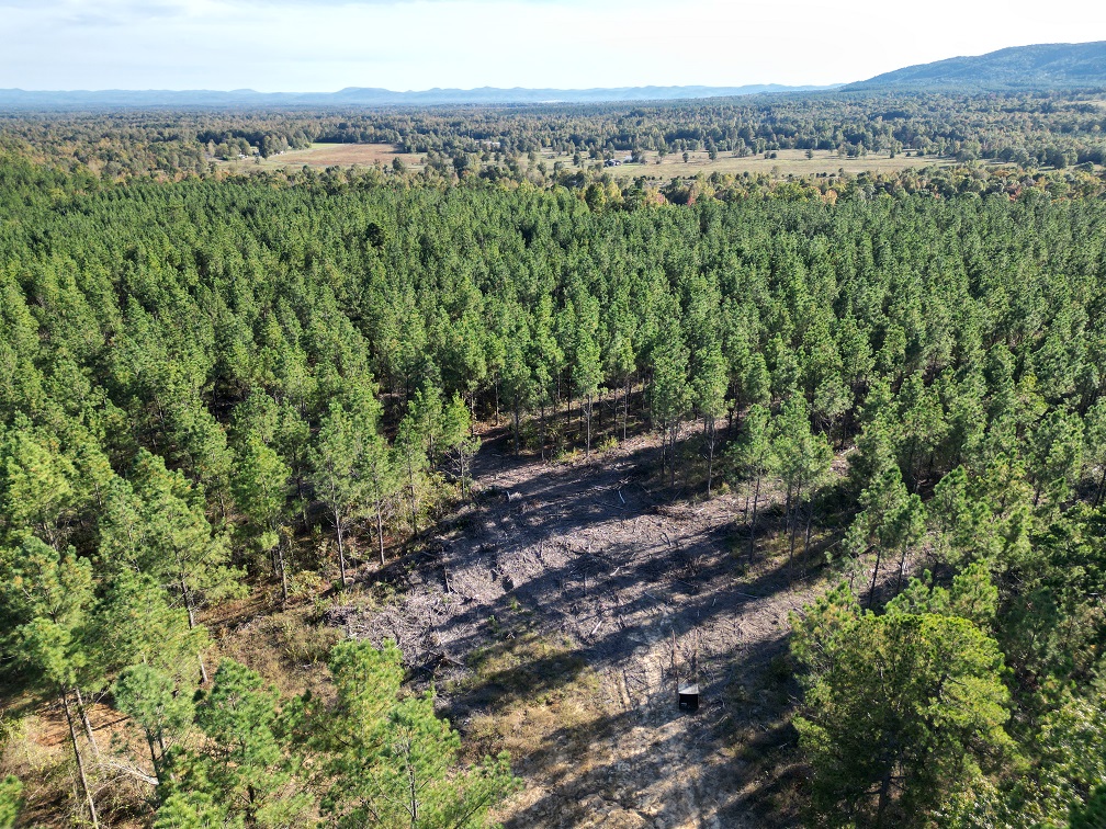 Mena, Arkansas, 71953, United States, ,Land,For Sale,1973758