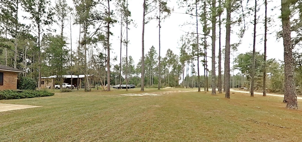 Bainbridge, Georgia, 39817, United States, 4 Bedrooms Bedrooms, ,4 BathroomsBathrooms,Residential,For Sale,1988533