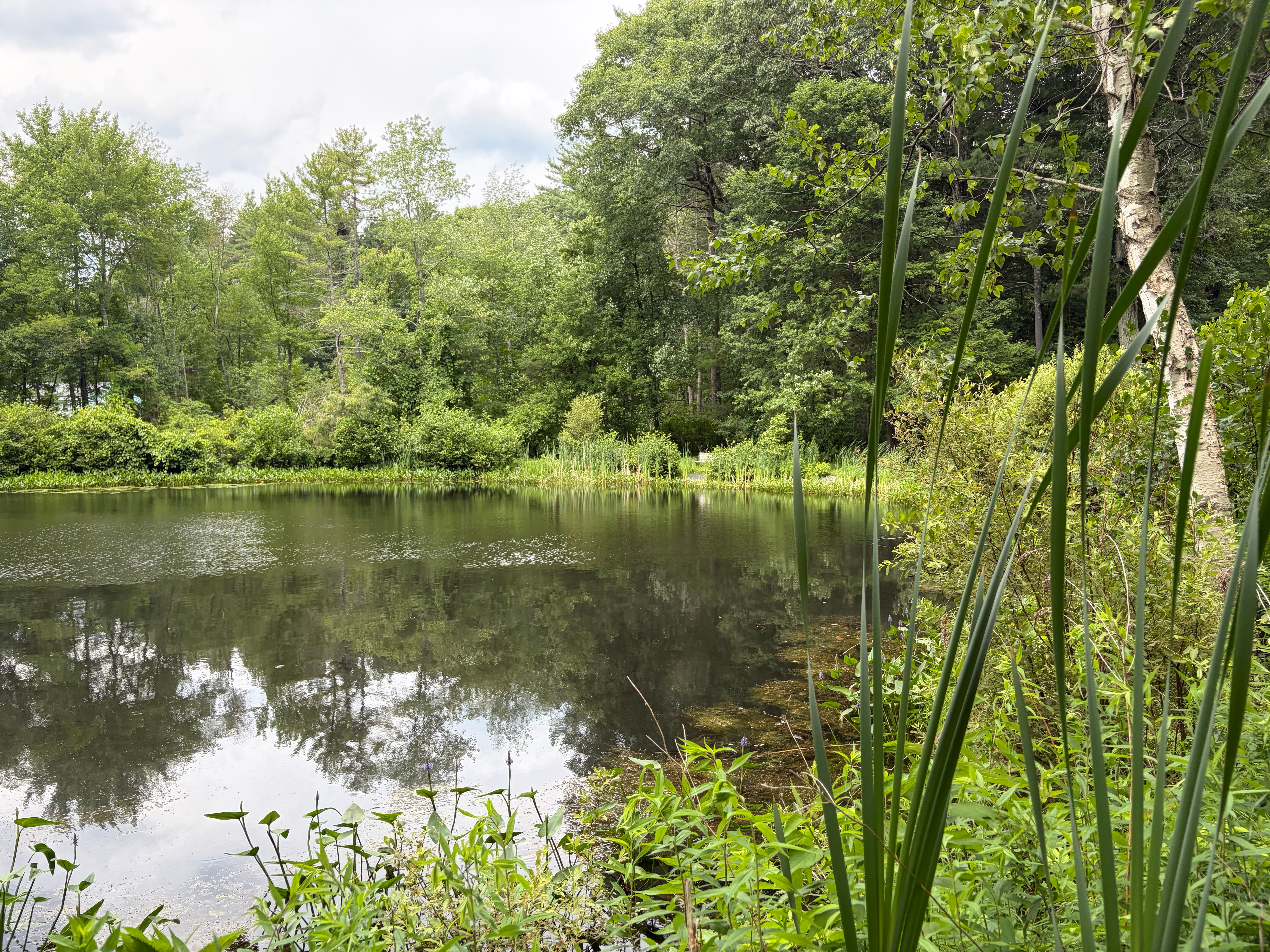 0 Judy Farm Road, Carlisle, MA, 01741 - 物件實景