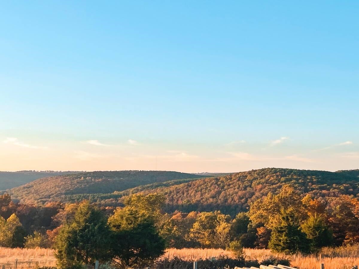 Mountain View, Arkansas, 72560, United States, 4 Bedrooms Bedrooms, ,2 BathroomsBathrooms,Residential,For Sale,1988851