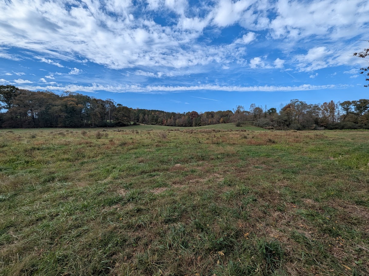 Bowdon, Georgia, 30108, United States, ,Land,For Sale,1989904