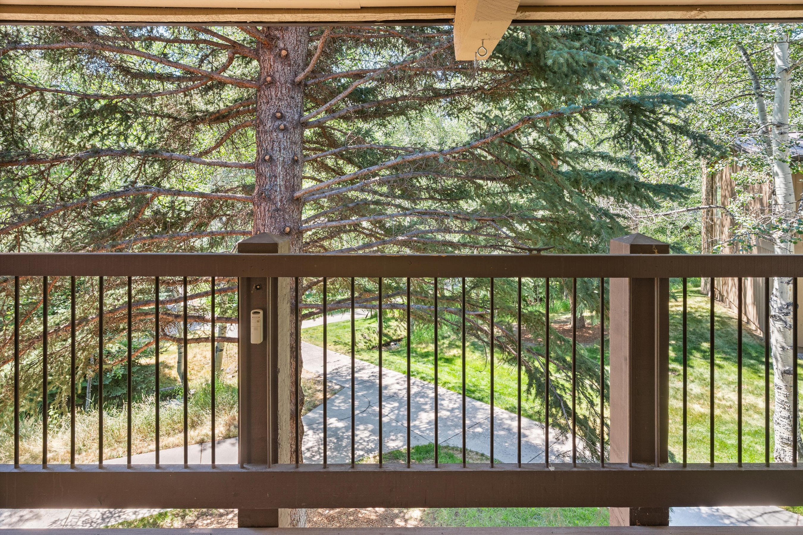  35 Upper Woodbridge Road, Snowmass Village, CO, 81615 - 物件實景