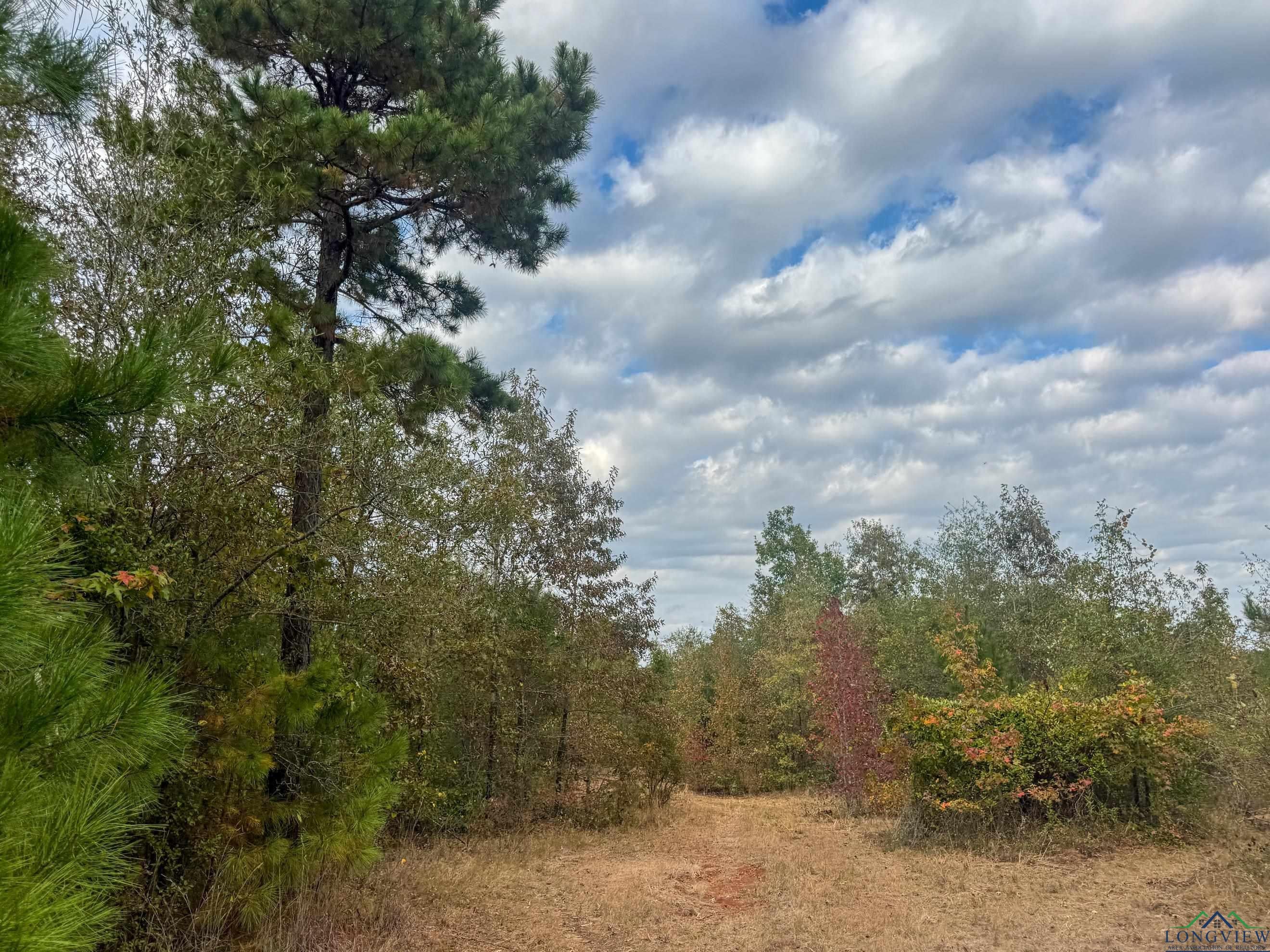 Marietta, Texas, 75566, United States, ,Land,For Sale,1977958