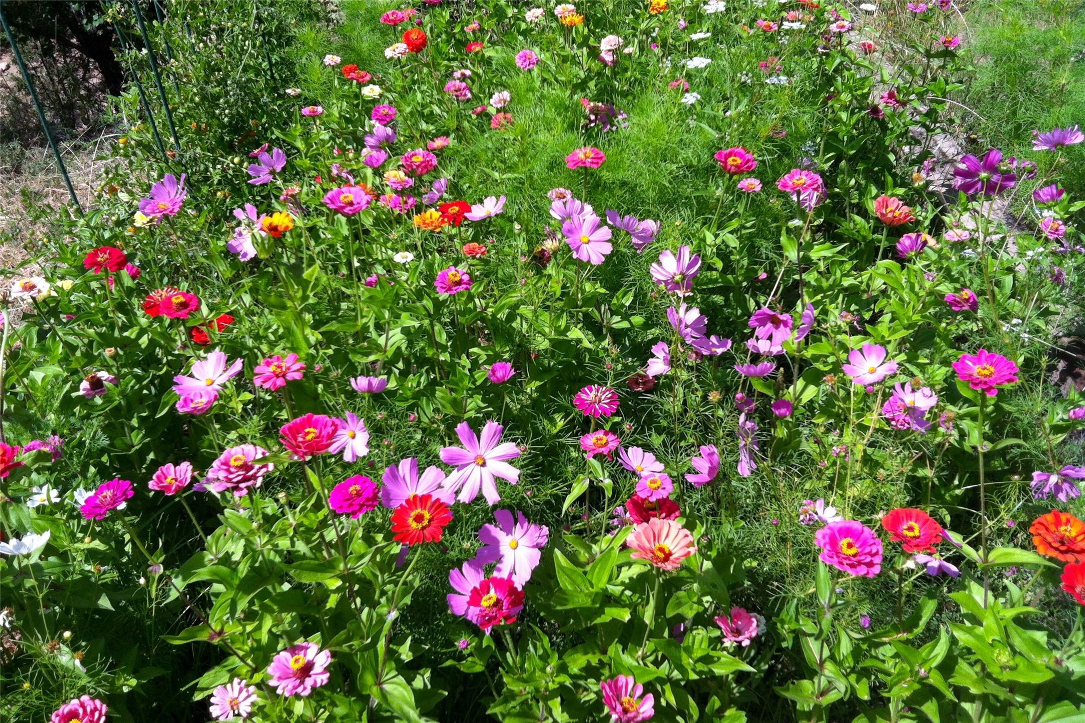  7 Cibola Circle - 物件實景