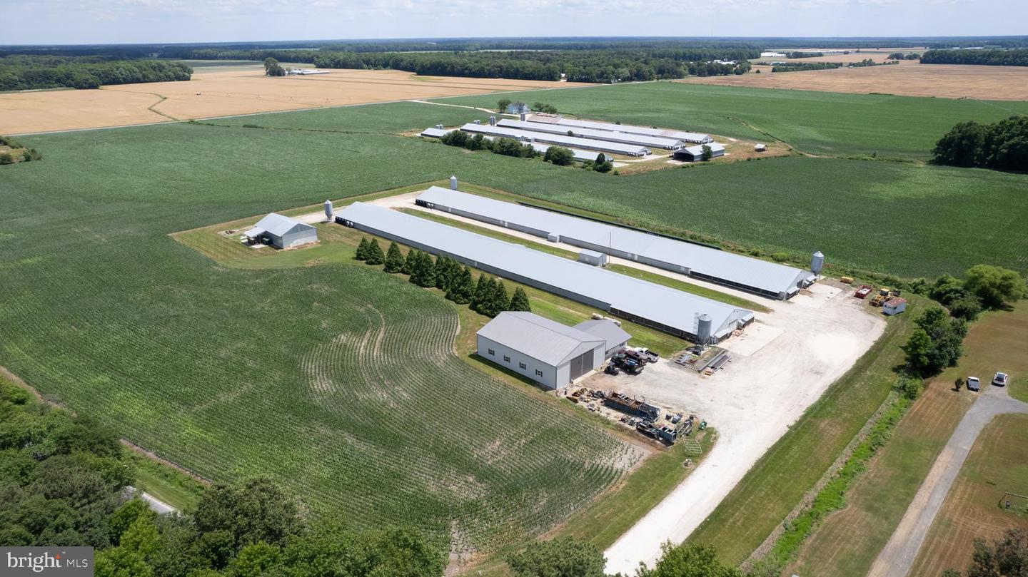 Hurlock, Maryland, 21643, United States, ,Residential,For Sale,1990296