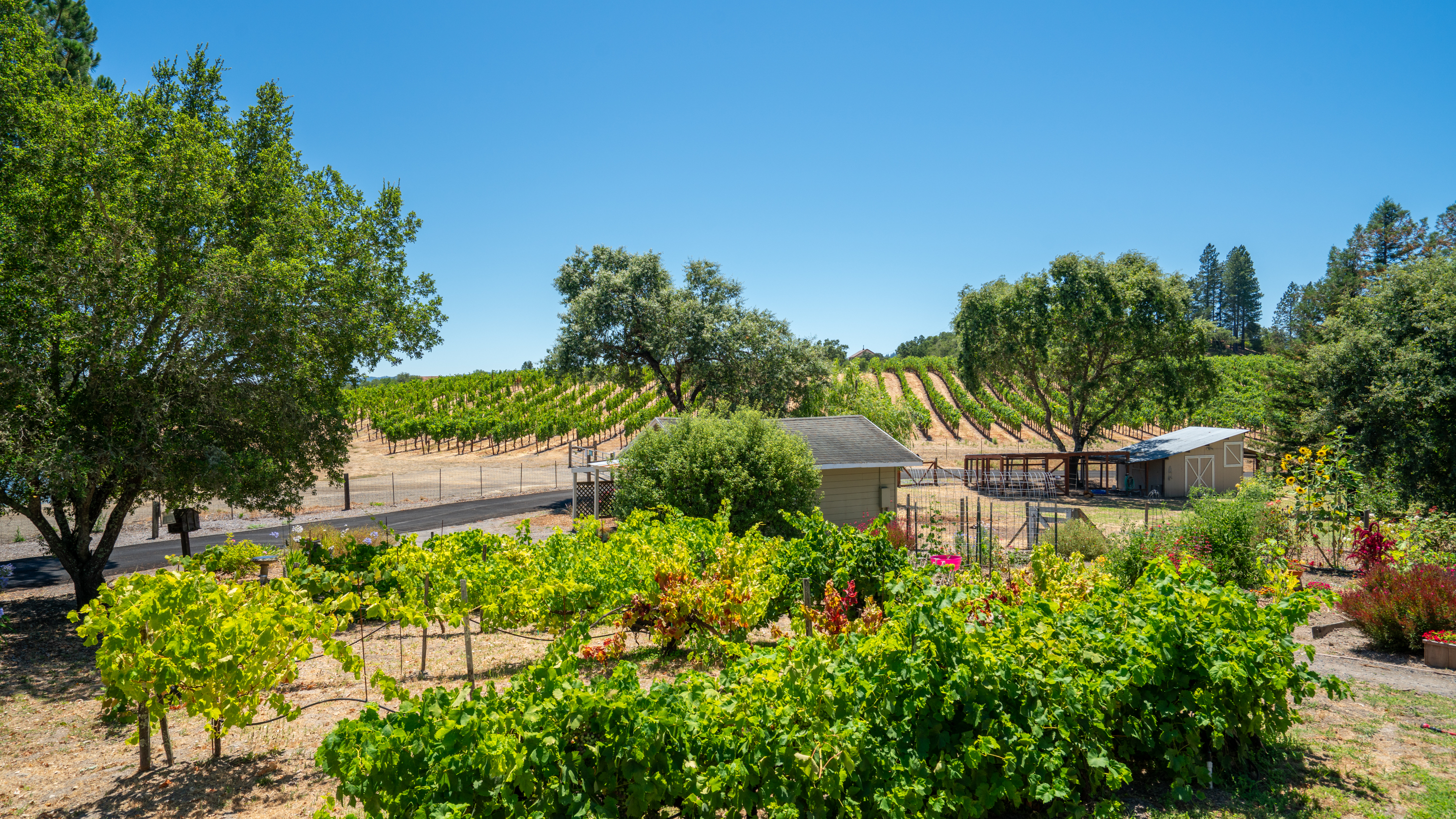  Sonoma Country Lifestyle - 物件實景