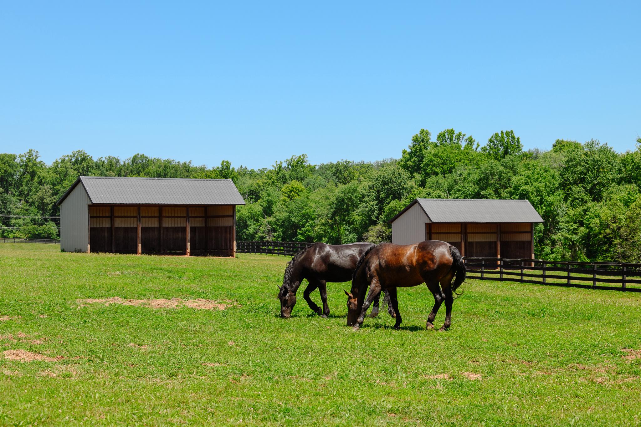  18101 Cattail Road, Poolesville, MD, 20837 - 物件實景
