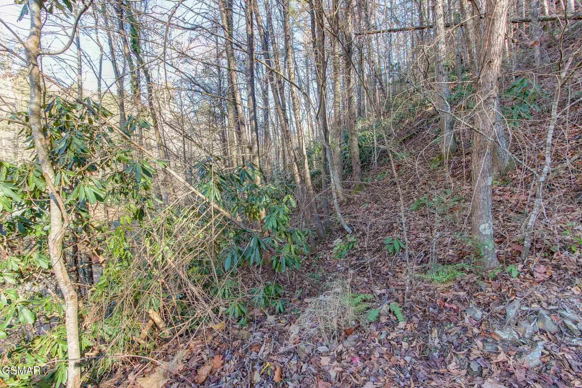 Gatlinburg, Tennessee, 37738, United States, 1 Bedroom Bedrooms, ,2 BathroomsBathrooms,Residential,For Sale,1923655