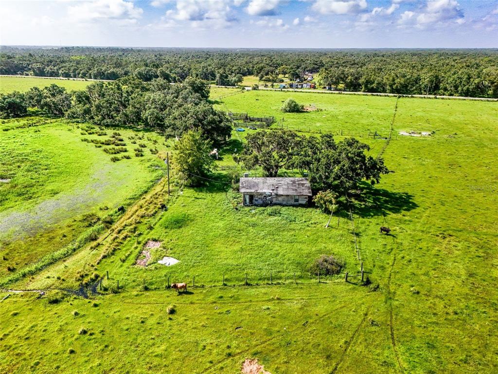 Myakka City, Florida, 34251, United States, ,Land,For Sale,1908306