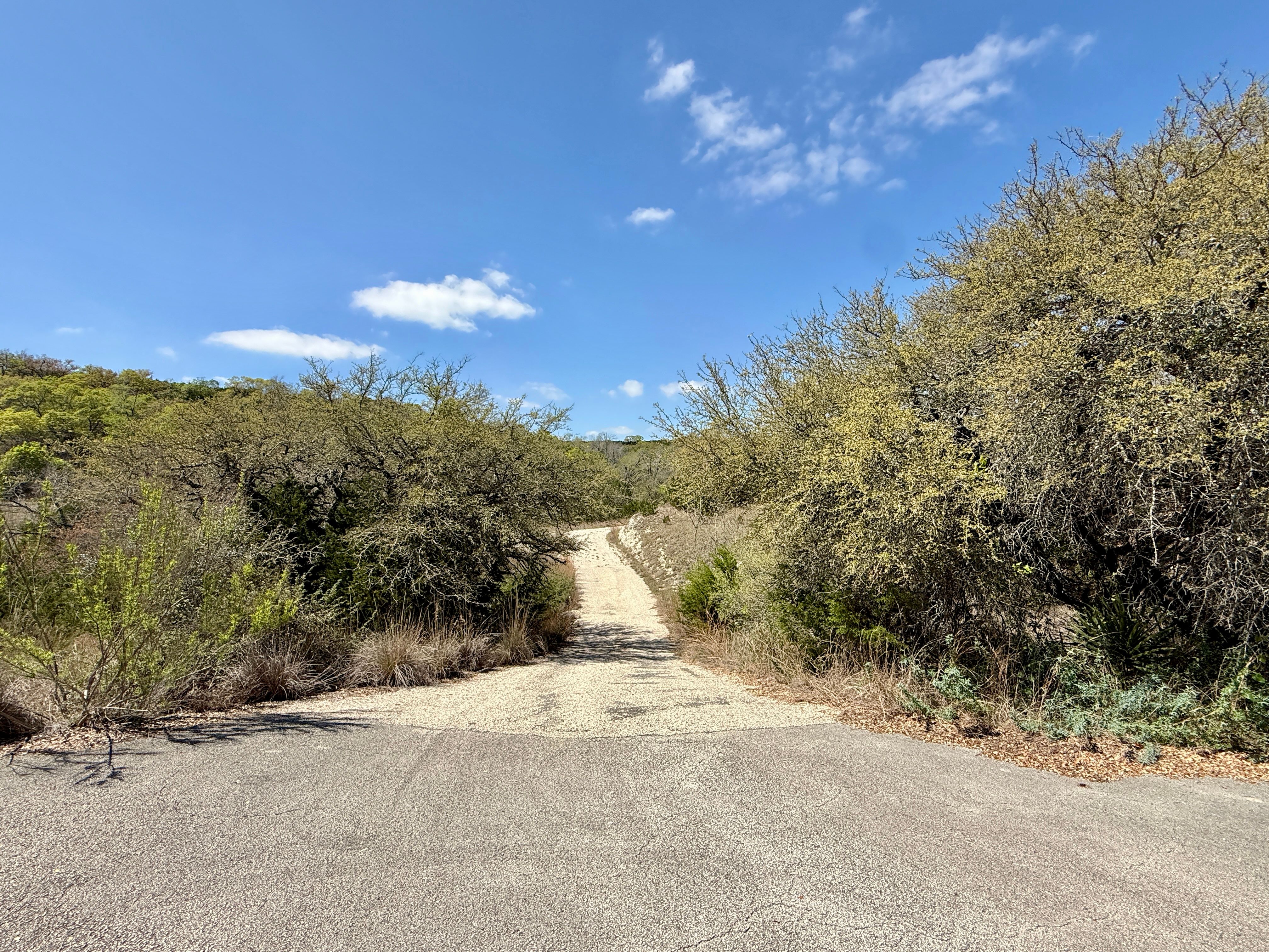  72+/- Acre Palmetto Creek Ranch - 物件實景