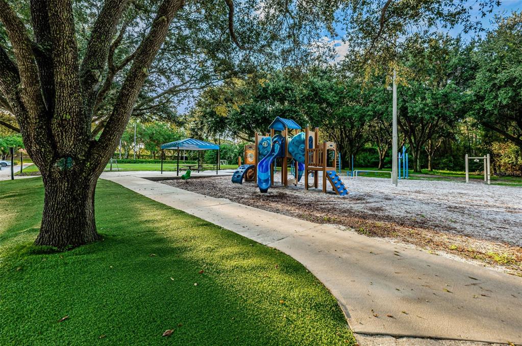 Palm Harbor, Florida, 34685, United States, 4 Bedrooms Bedrooms, ,3 BathroomsBathrooms,Residential,For Sale,1987675